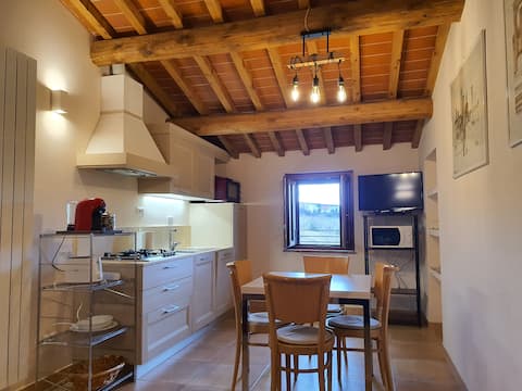 Roberta apartment 100 m from San Gimignano