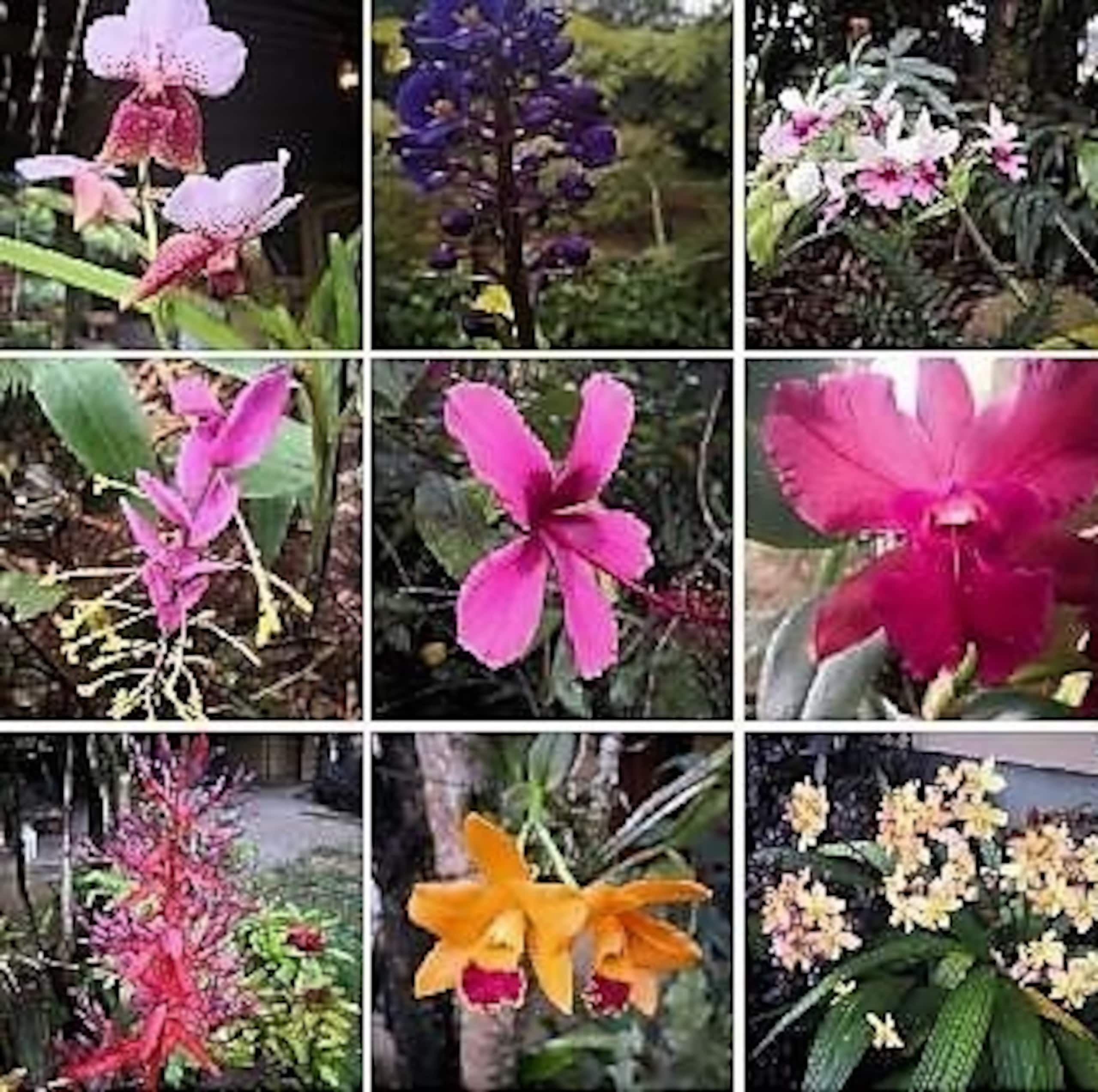 Vintage Farmhouse and Botanical Garden - Photo 23