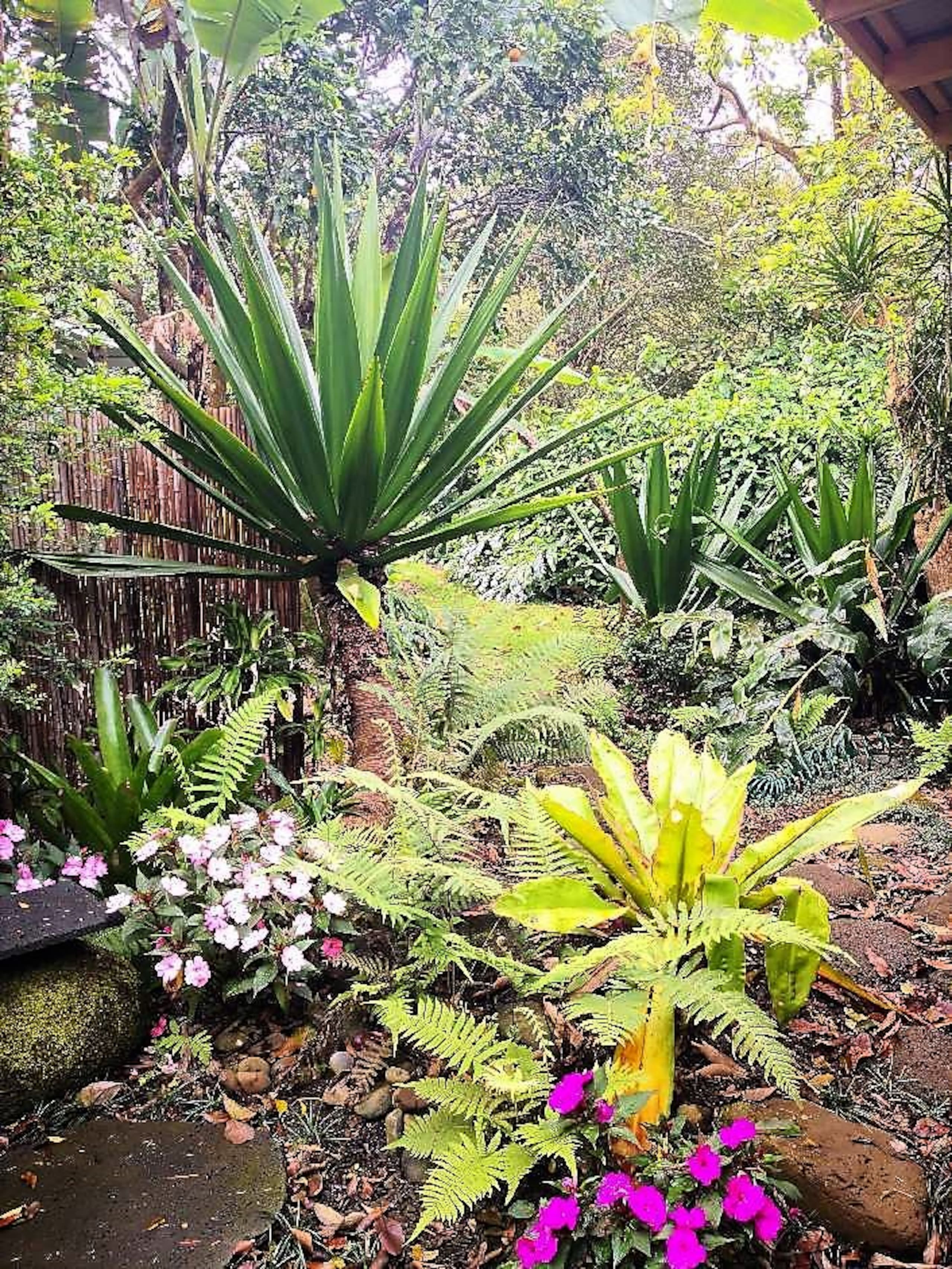 Vintage Farmhouse and Botanical Garden - Photo 15