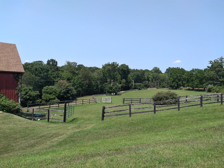 1 Bedroom Country BNB Farm stays for Rent in Ligonier, Pennsylvania