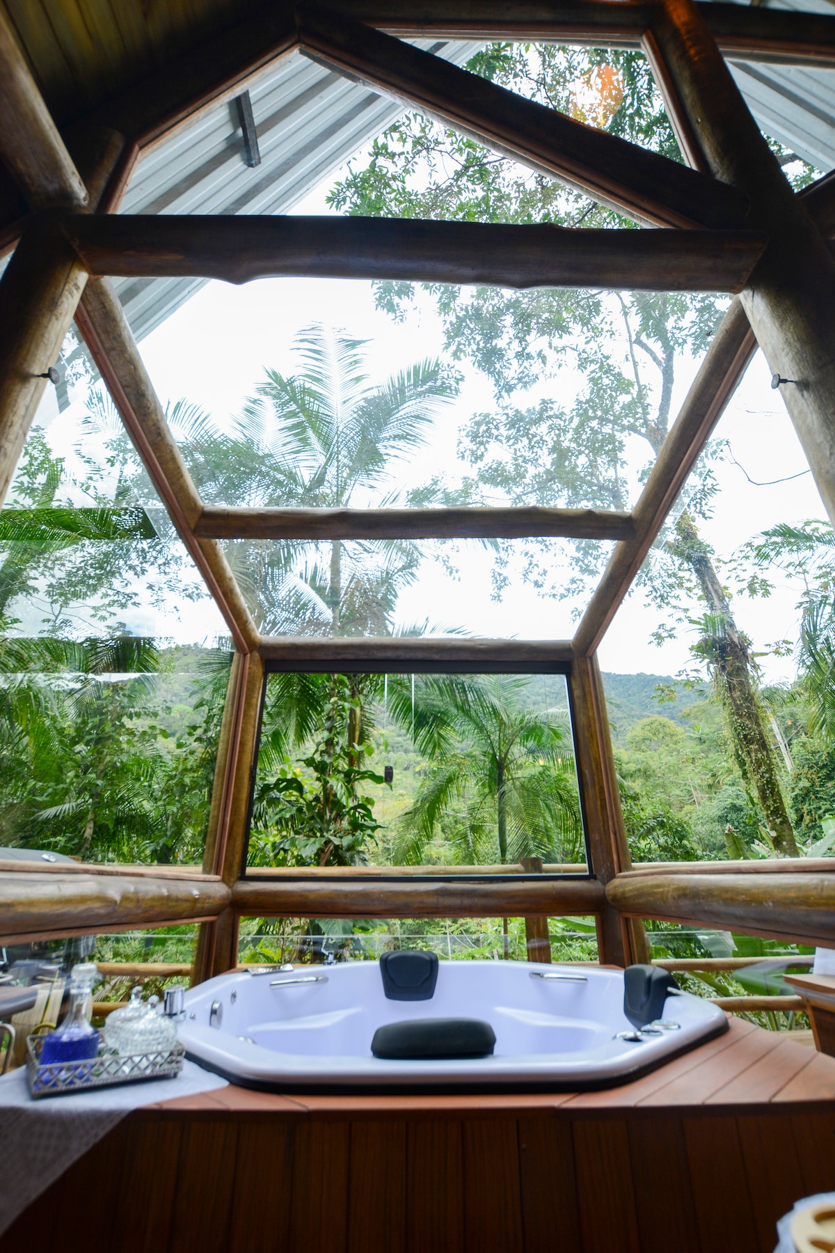 A spacious Jacuzzi is positioned within a wooden structure, featuring large windows that frame views of lush greenery and towering trees. Natural light fills the space, highlighting the inviting atmosphere created by the surrounding forest.