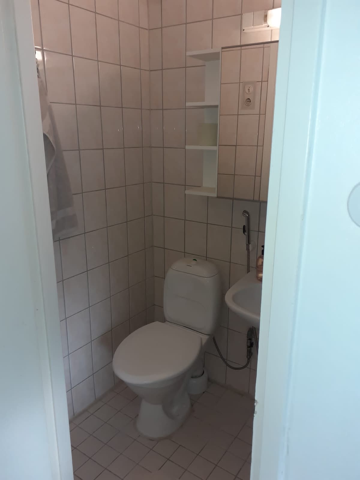 The bathroom features neutral tiled walls and a compact layout. A white toilet is positioned beside a small sink, which is complemented by a shelf containing toiletries. Soft lighting is provided by a fixture above the mirror.