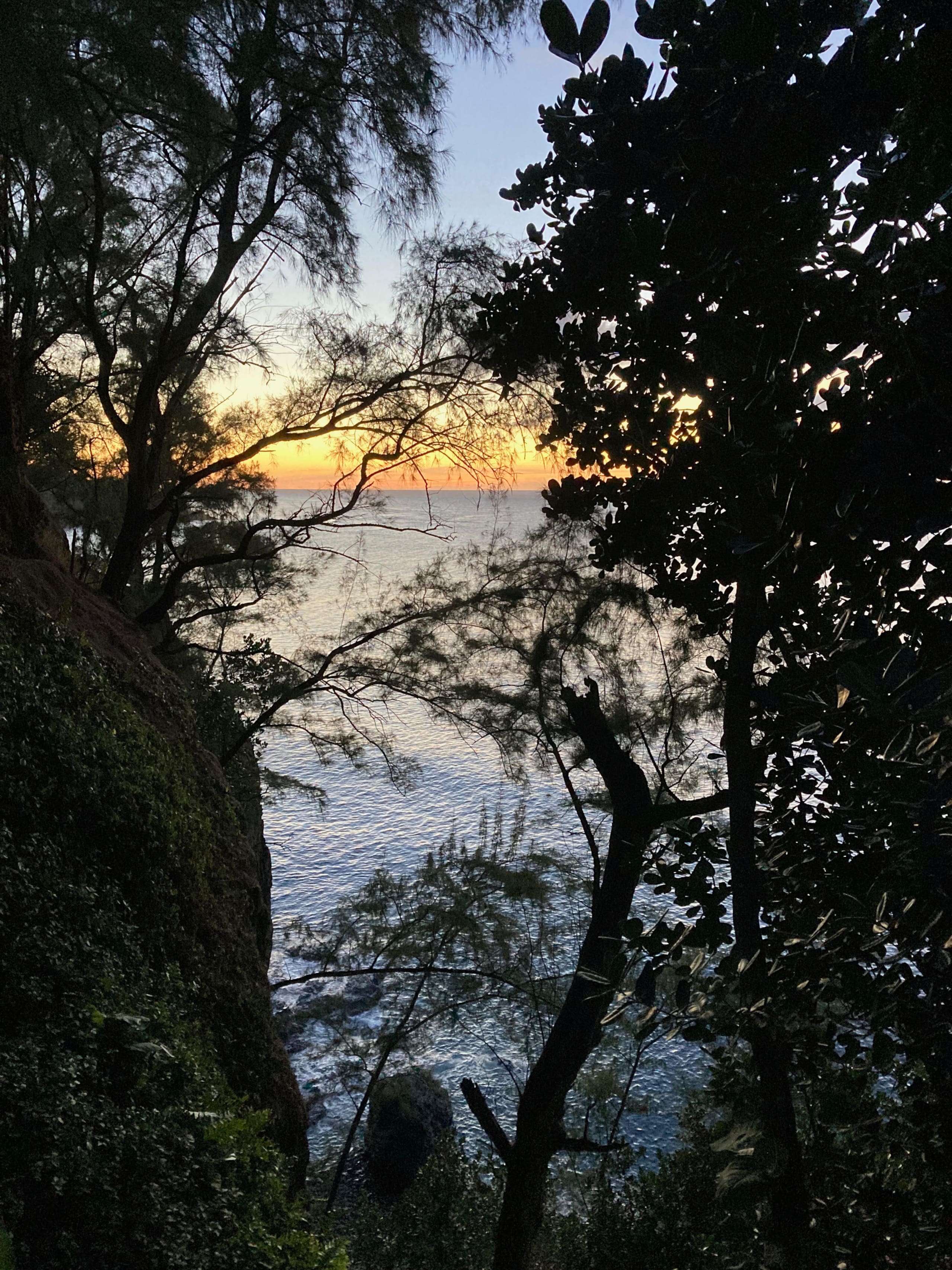 Home in Princeville · ★4.95 · 1 bedroom · 1 bed · 1 private bath - Image 13