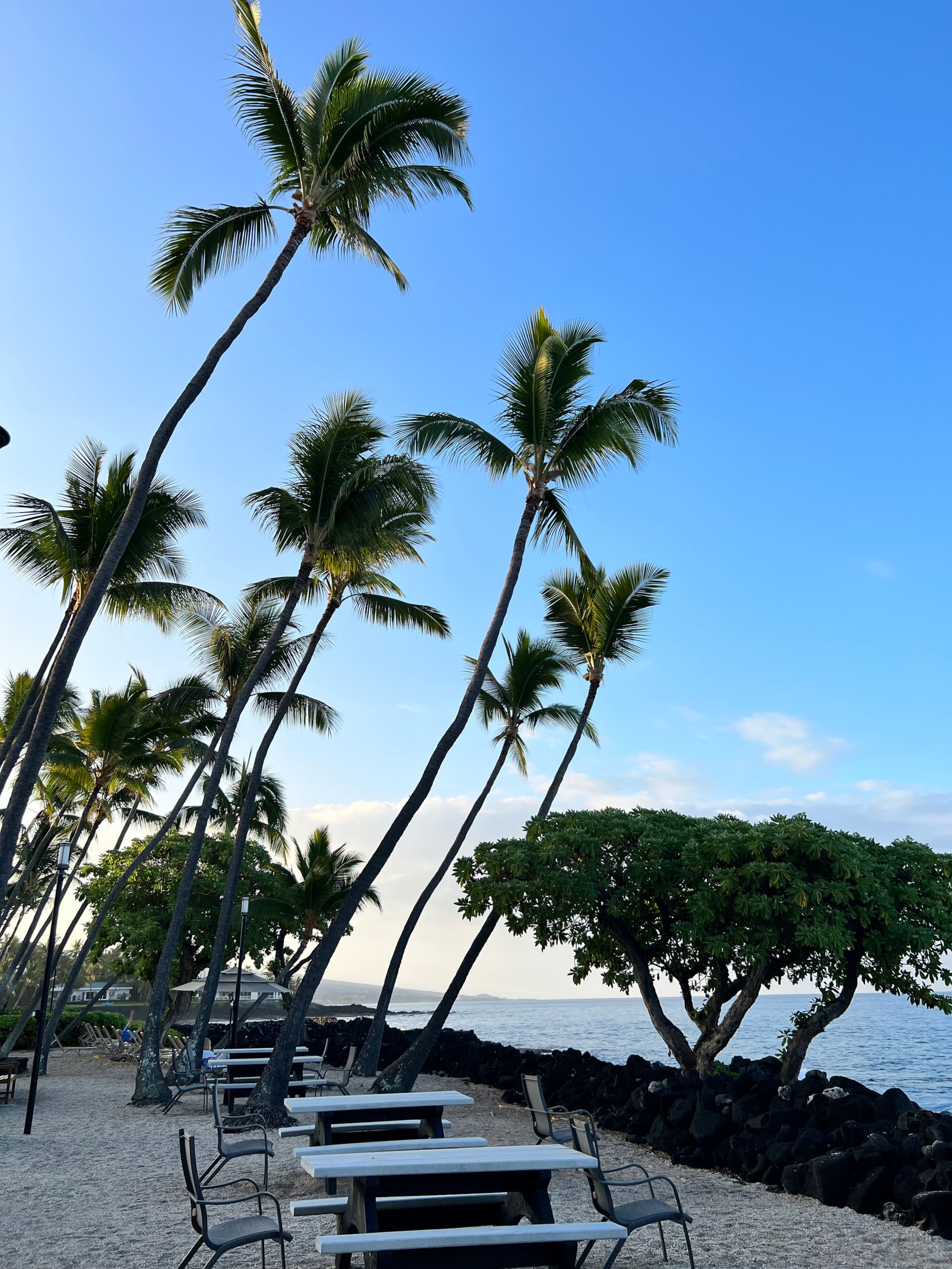 Condo in Kailua-Kona · ★4.93 · 1 bedroom · 2 beds · 1 private bath - Image 25
