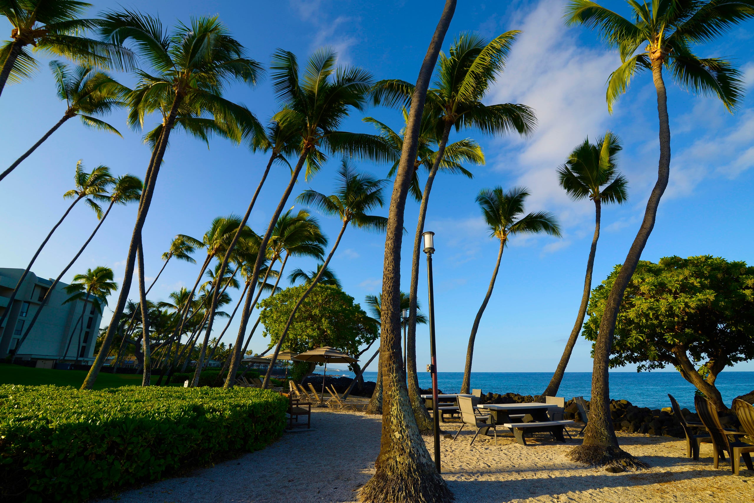 Condo in Kailua-Kona · ★4.93 · 1 bedroom · 2 beds · 1 private bath - Image 26