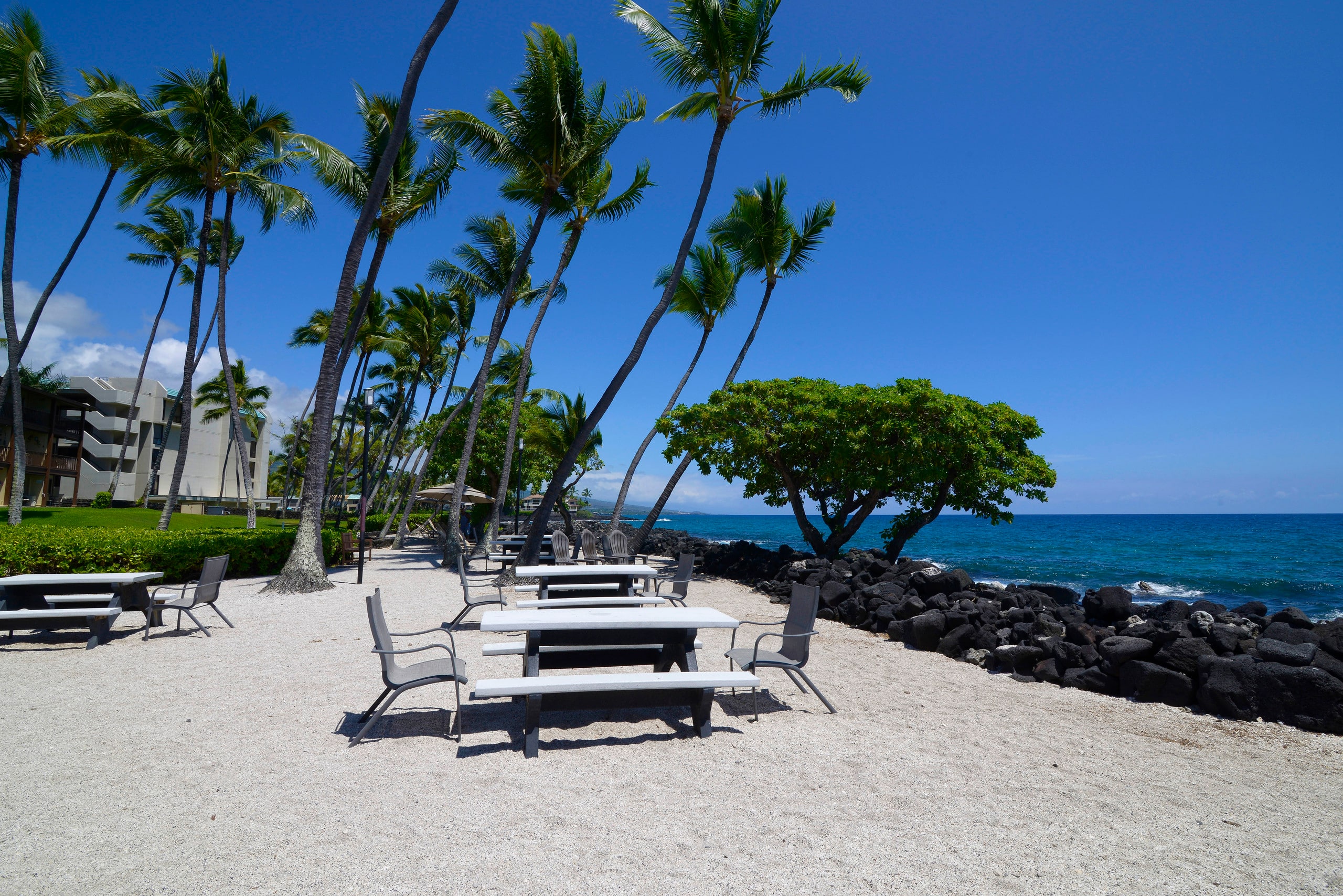 Condo in Kailua-Kona · ★4.93 · 1 bedroom · 2 beds · 1 private bath - Image 27