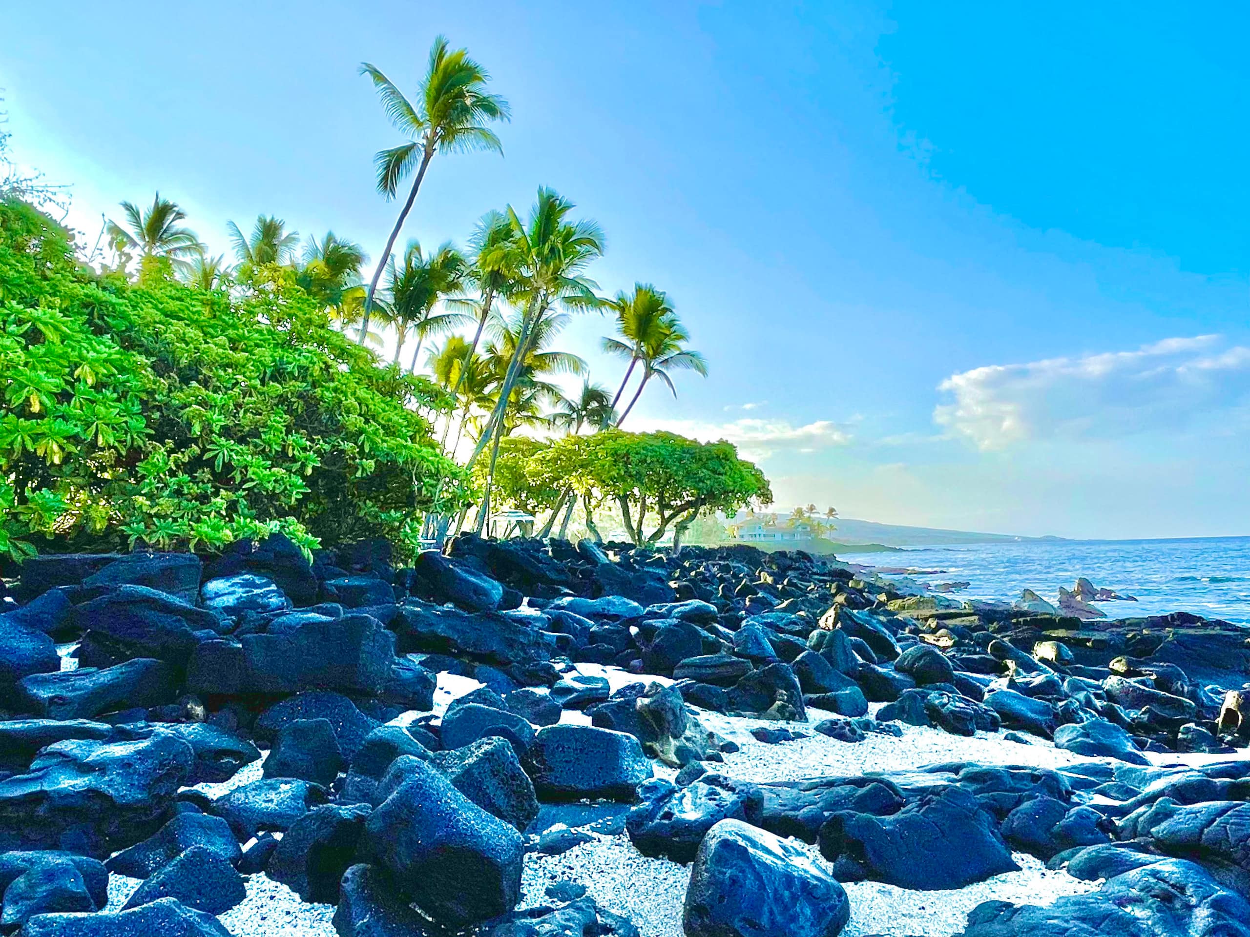 Condo in Kailua-Kona · ★4.93 · 1 bedroom · 2 beds · 1 private bath - Image 29