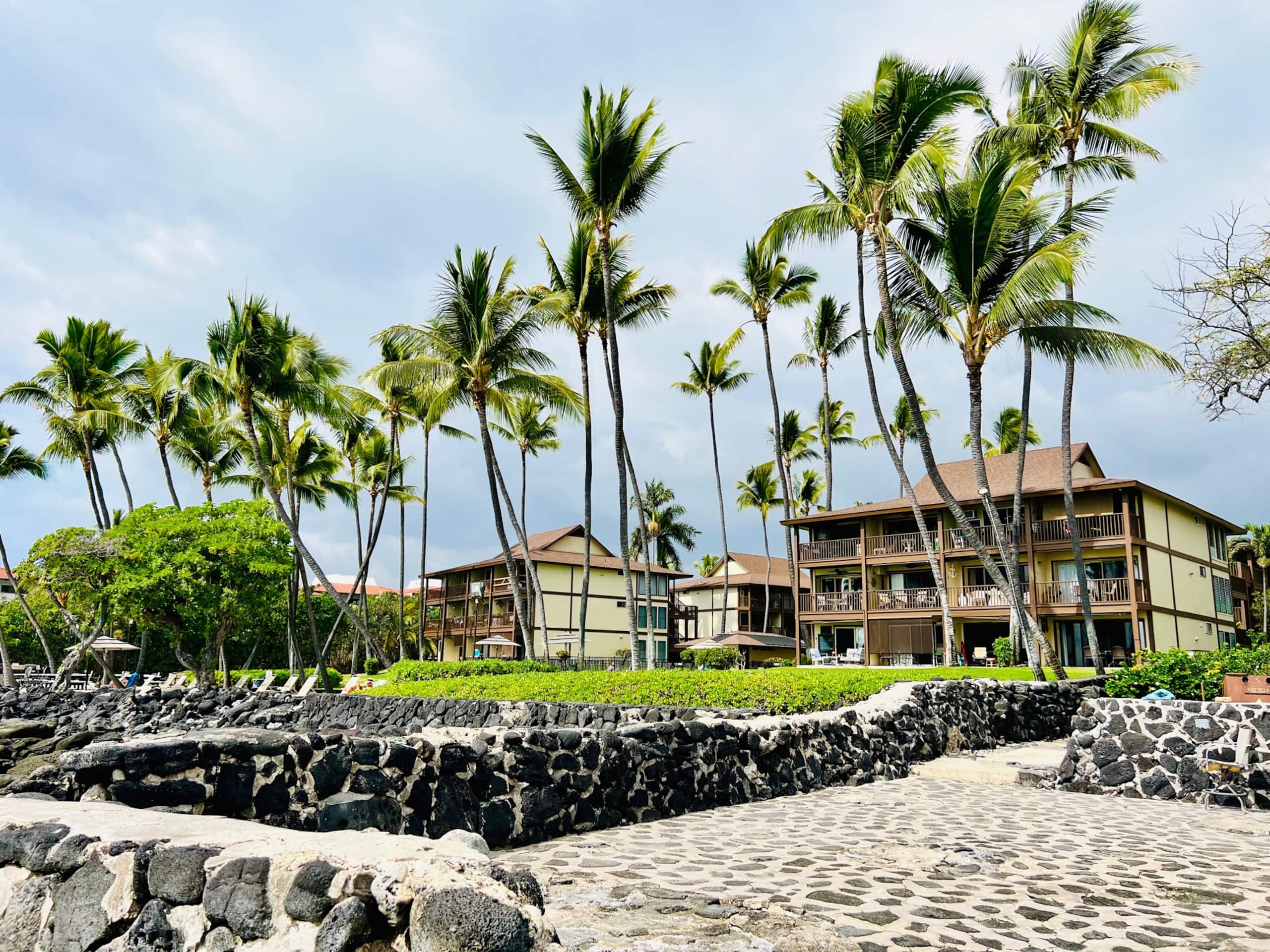 Condo in Kailua-Kona · ★4.93 · 1 bedroom · 2 beds · 1 private bath - Image 22