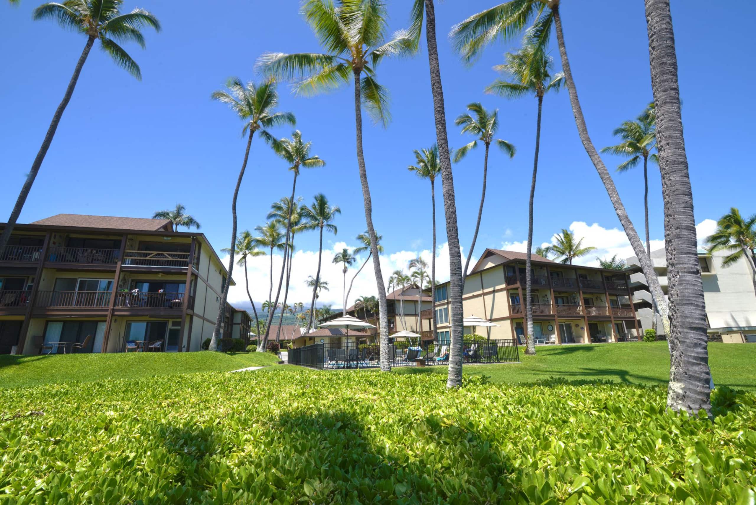 Condo in Kailua-Kona · ★4.93 · 1 bedroom · 2 beds · 1 private bath - Image 17