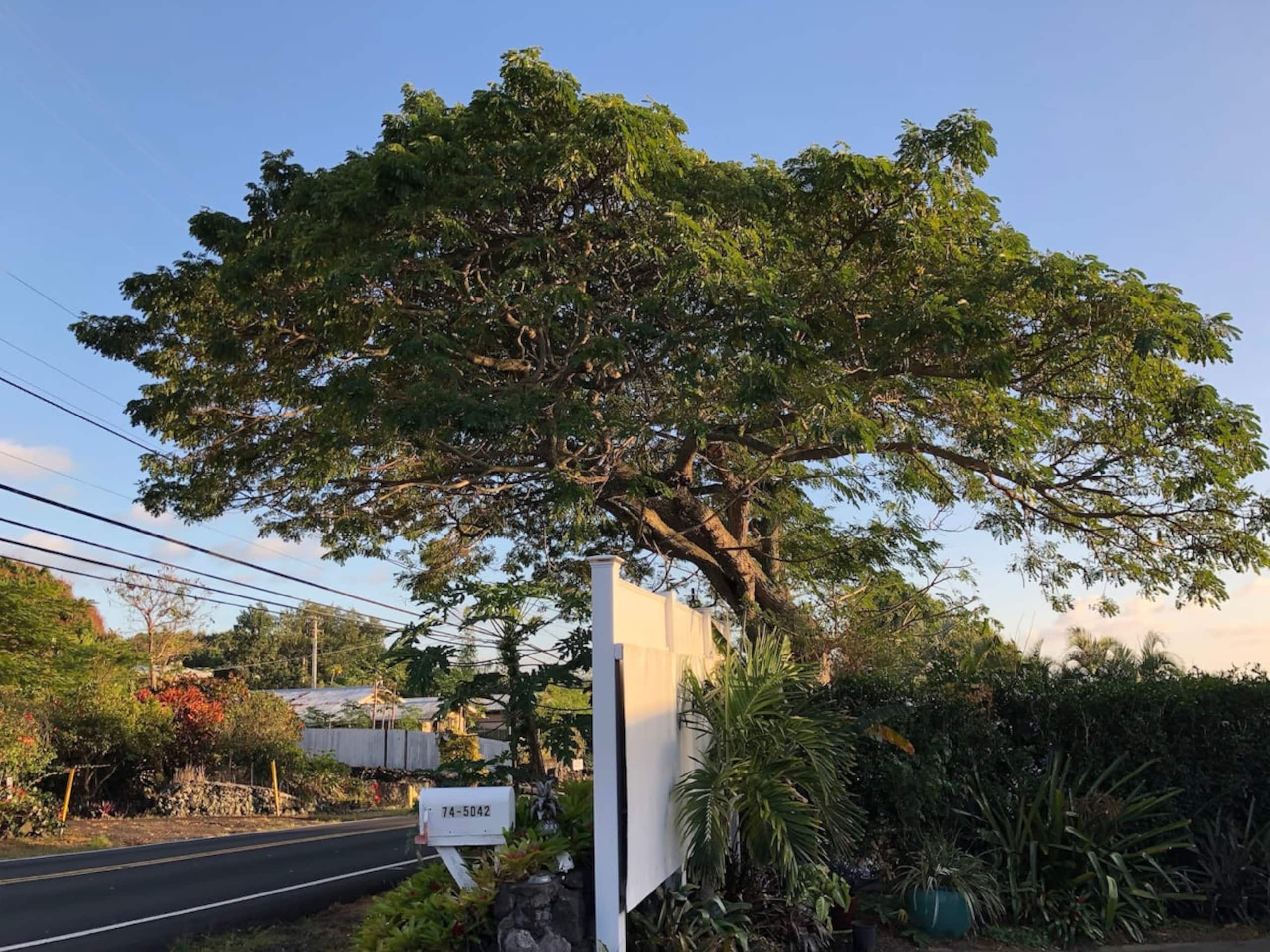 Home in Kailua-Kona · ★4.93 · 3 bedrooms · 3 beds · 2 private baths - Image 13