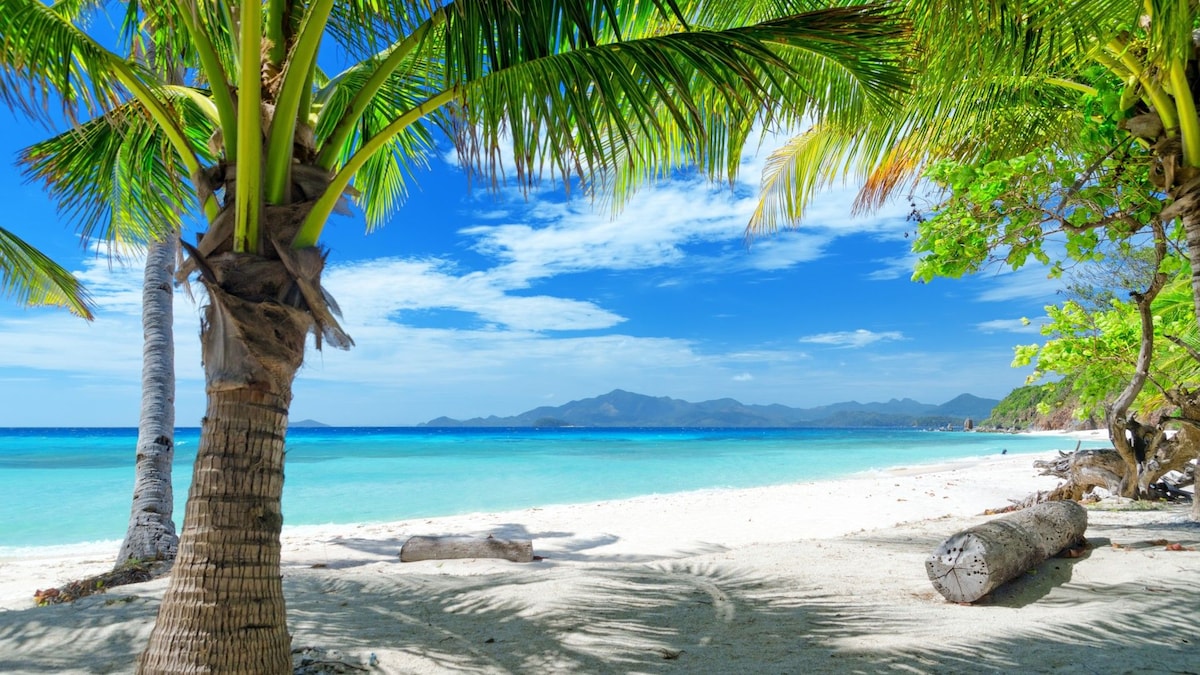 A serene beach scene features soft white sand bordered by gently swaying palm trees. The clear blue water glistens under a bright sky, with distant mountains visible on the horizon. A few logs rest on the sand, enhancing the natural landscape.