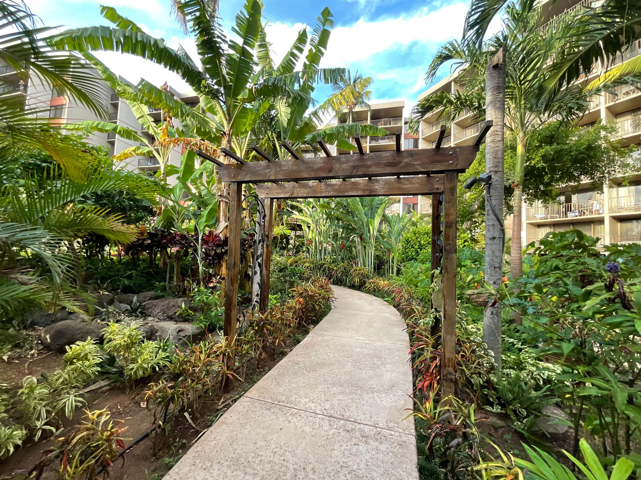 Condo in Lahaina · ★4.95 · 2 bedrooms · 4 beds · 2 baths - Image 24