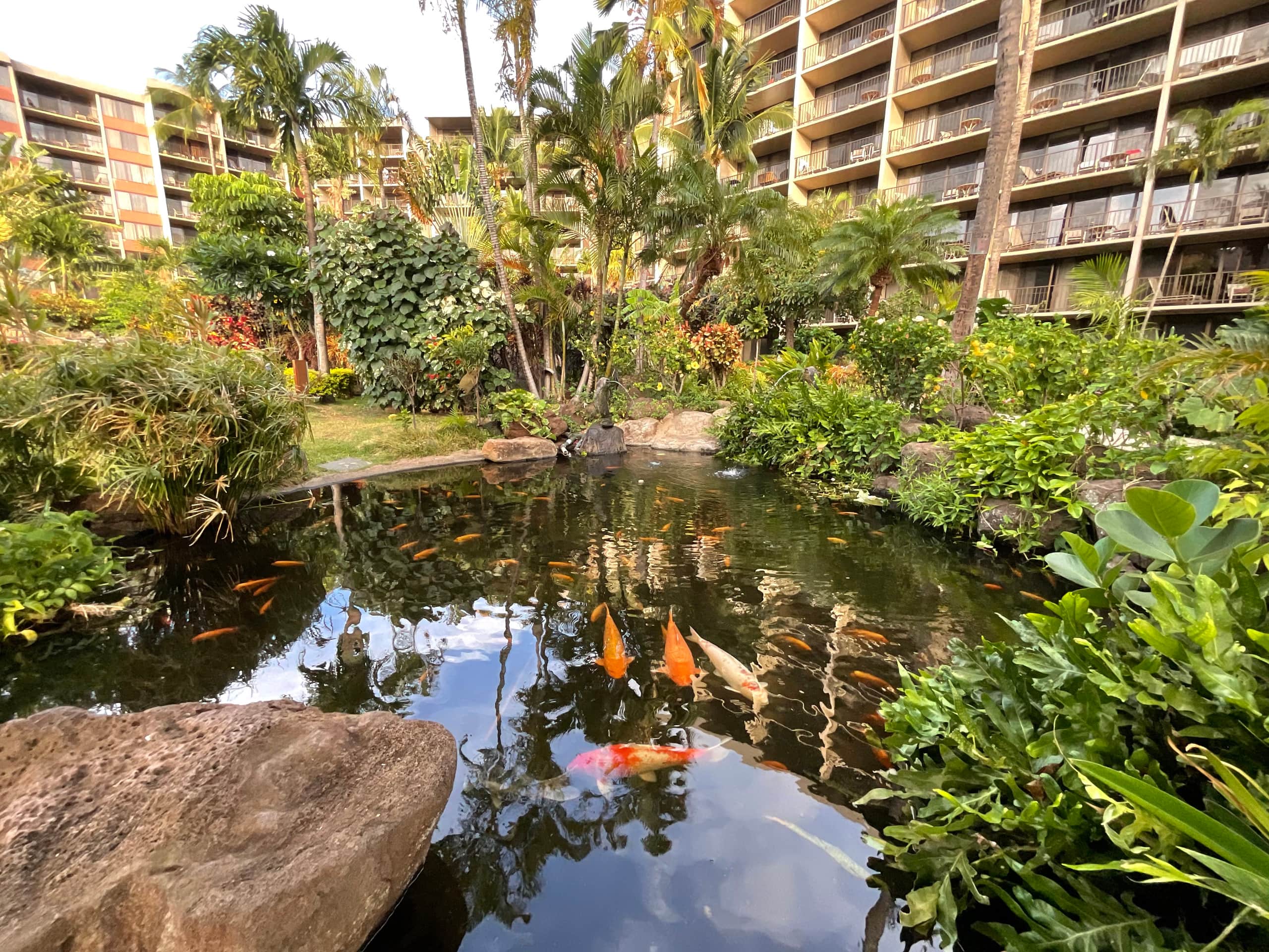 Condo in Lahaina · ★4.95 · 2 bedrooms · 4 beds · 2 baths - Image 27