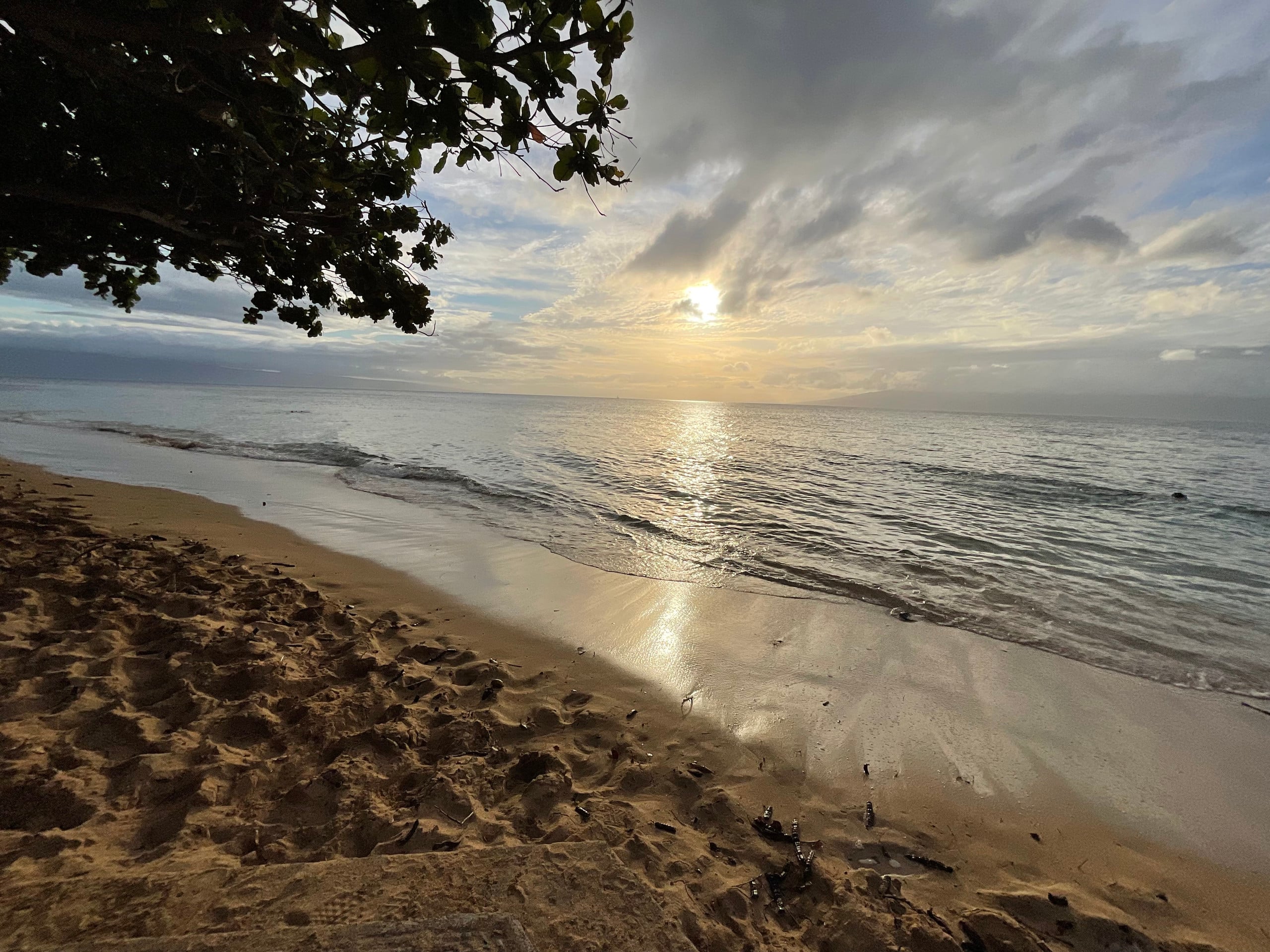 Condo in Lahaina · ★4.95 · 2 bedrooms · 4 beds · 2 baths - Image 22