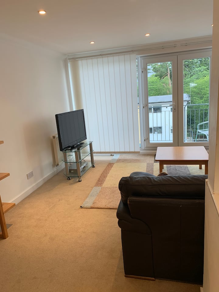 Blencathra - Large House For Family/ Friends  Time - Ambleside