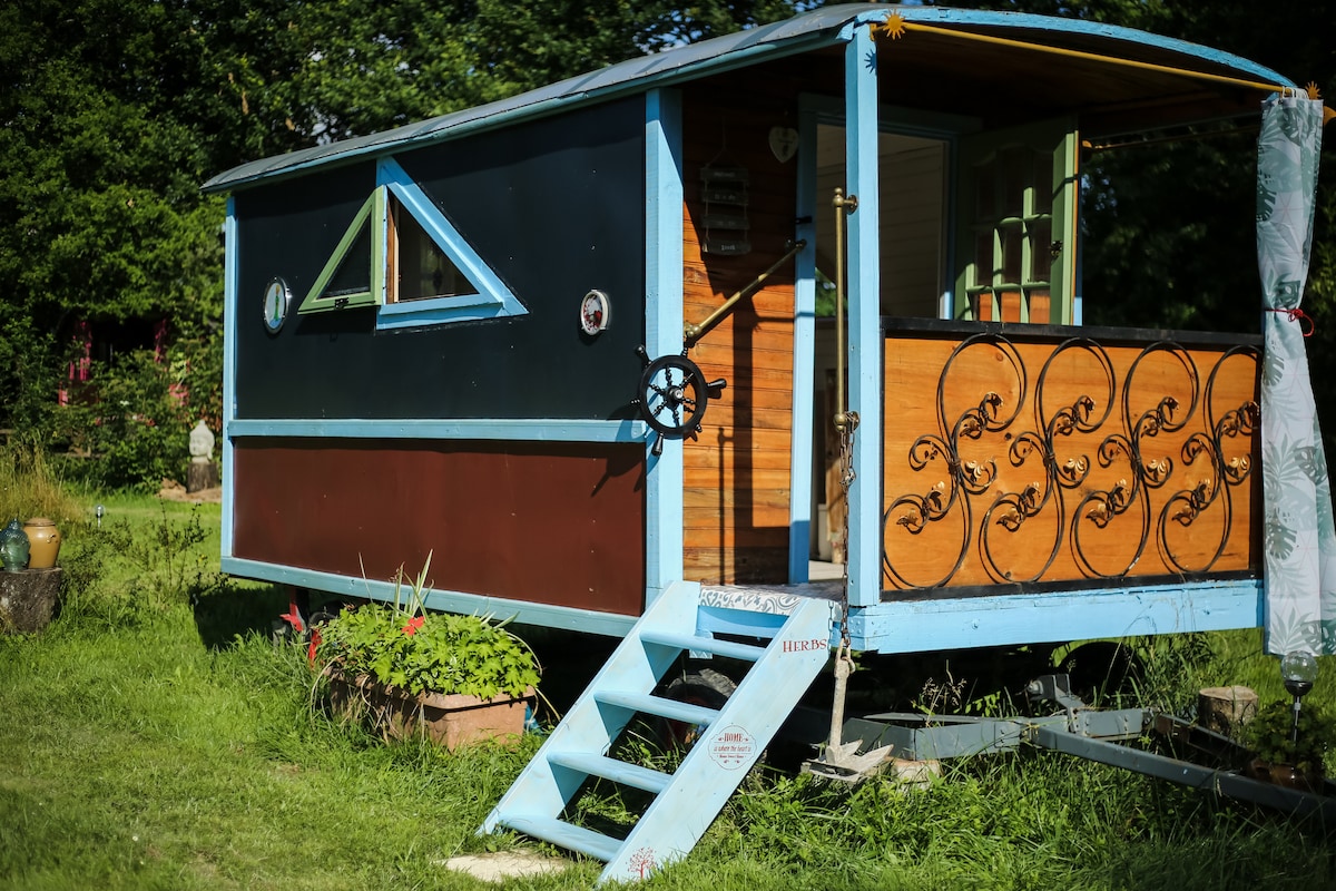 A charming small cabin is set in a grassy area, featuring a contrasting blue and brown exterior. Decorative elements include an ornate railing and playful geometric window shapes. A set of steps leads up to the entrance, inviting guests to explore the space.