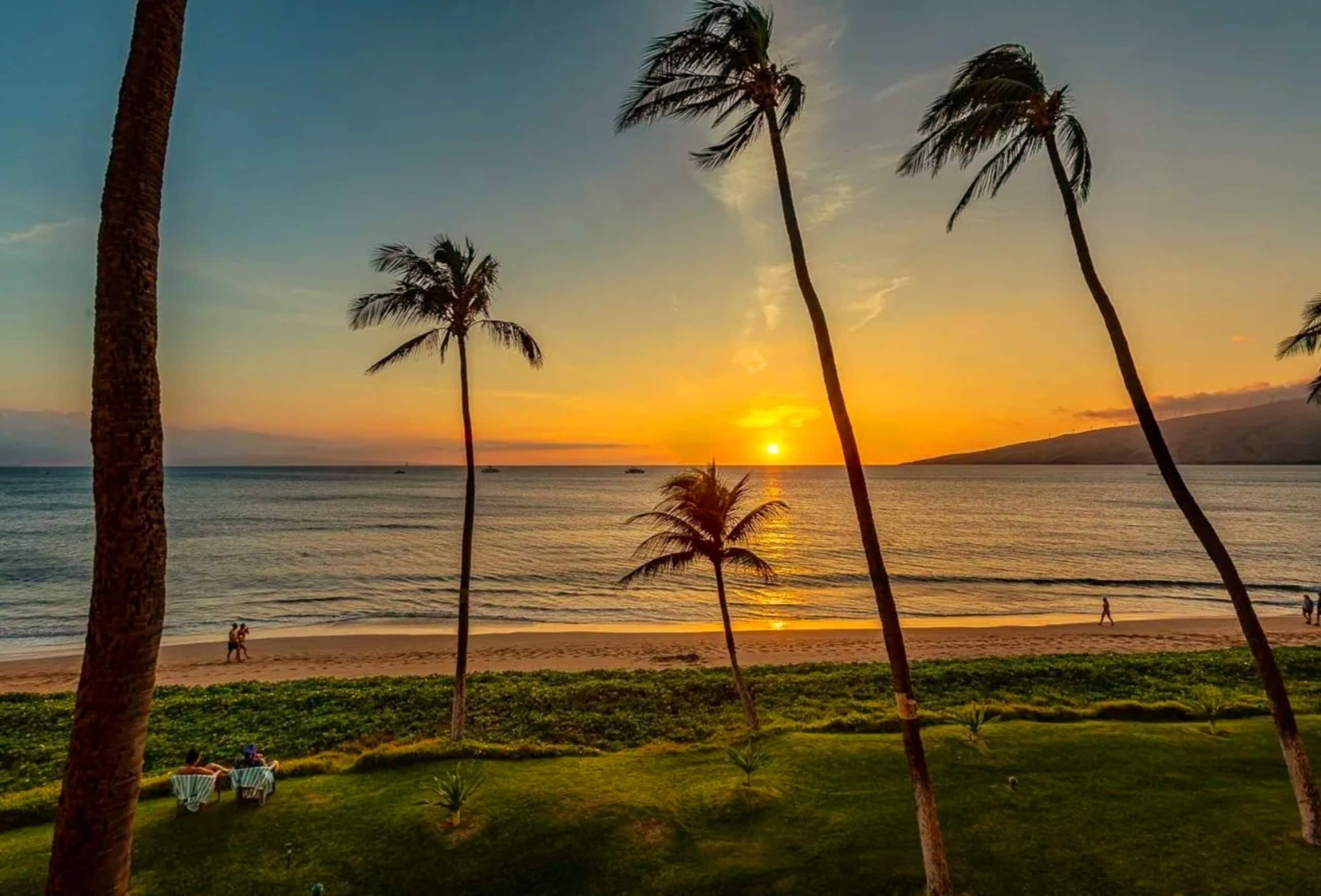Condo in Kihei · ★4.99 · 1 bedroom · 1 bed · 1 private bath - Image 24