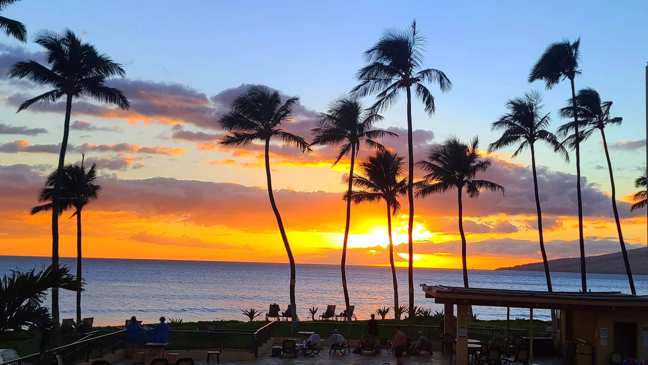Condo in Kihei · ★4.99 · 1 bedroom · 1 bed · 1 private bath - Image 1
