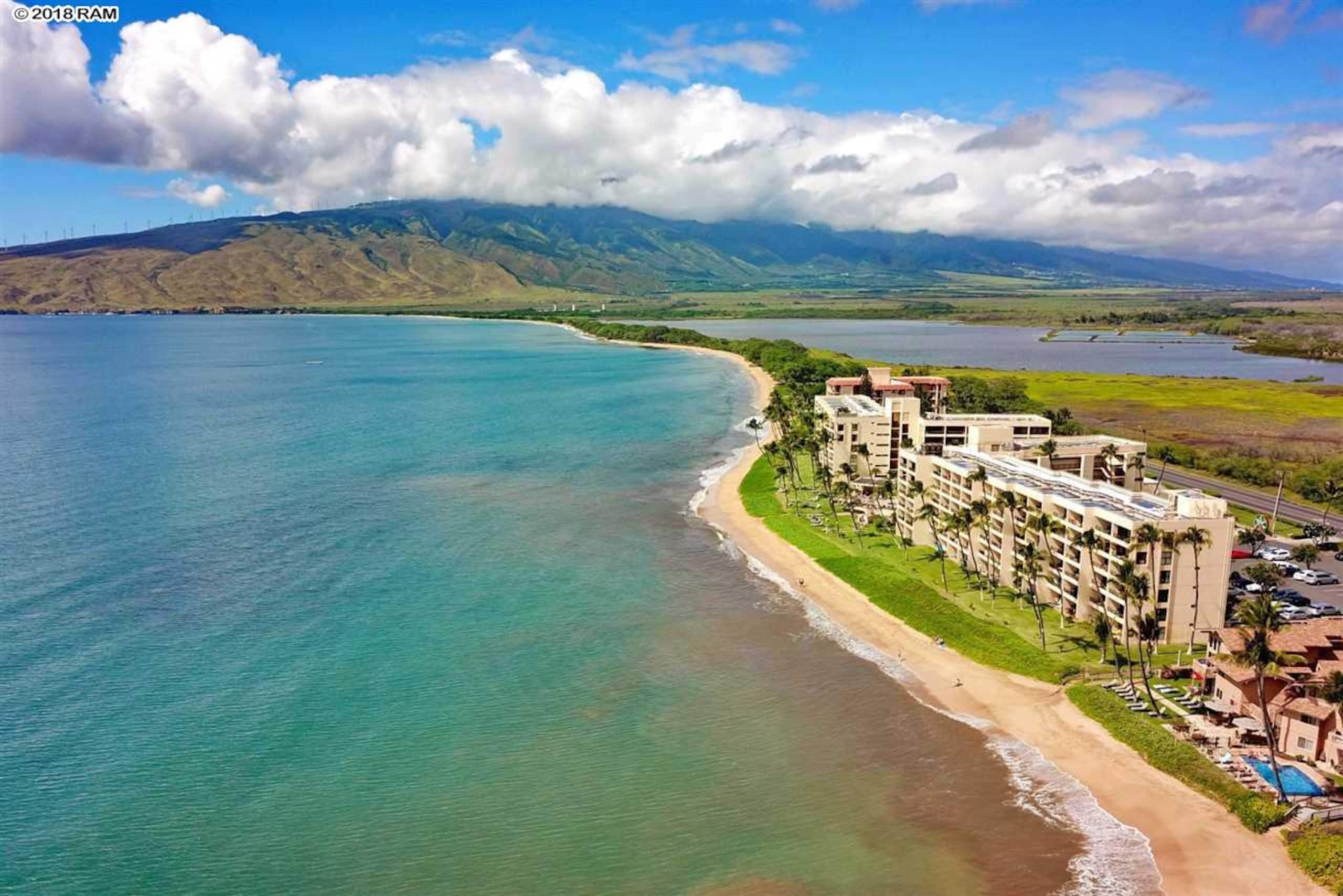 Condo in Kihei · ★4.99 · 1 bedroom · 1 bed · 1 private bath - Image 18