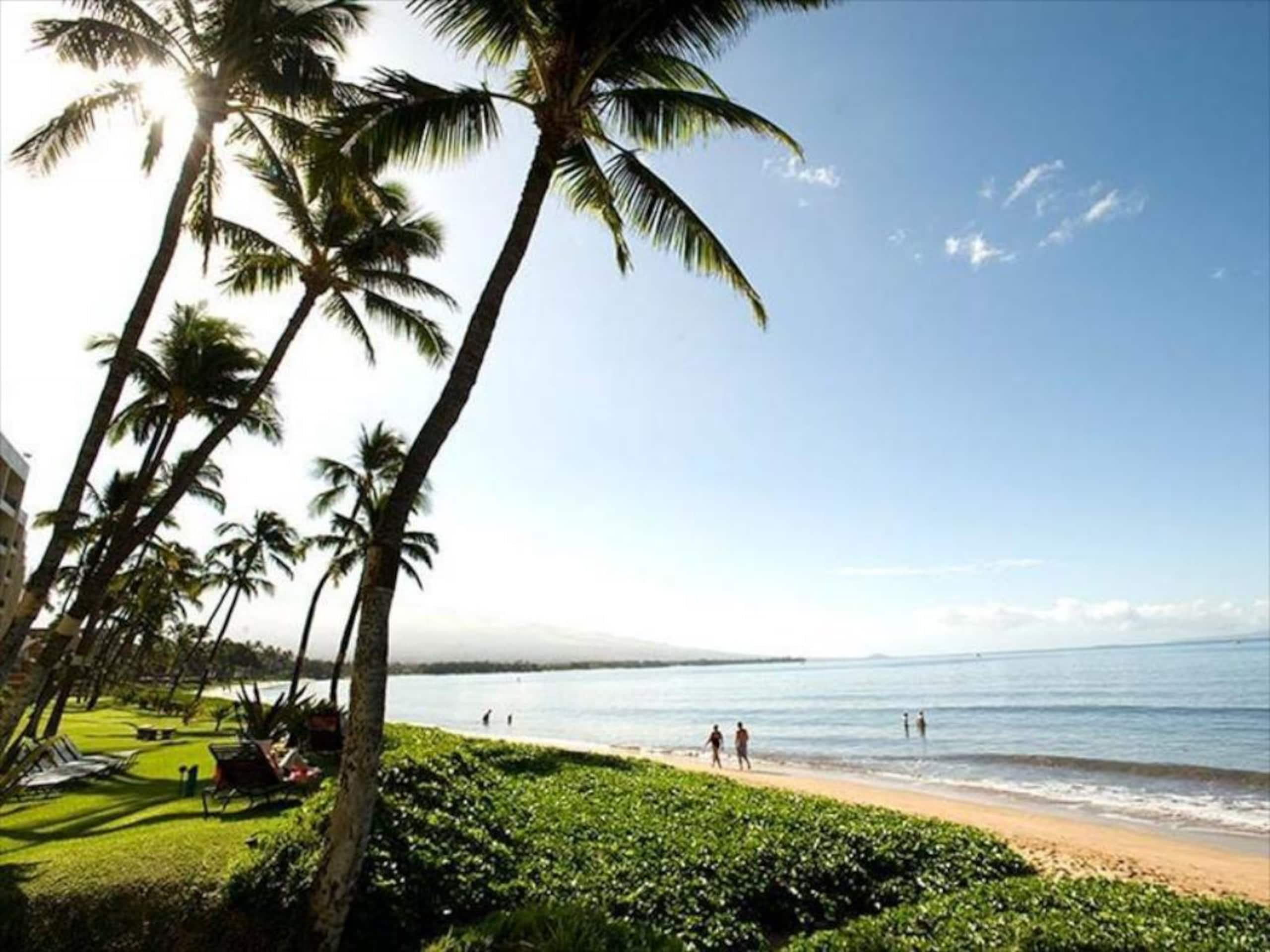 Condo in Kihei · ★4.99 · 1 bedroom · 1 bed · 1 private bath - Image 23