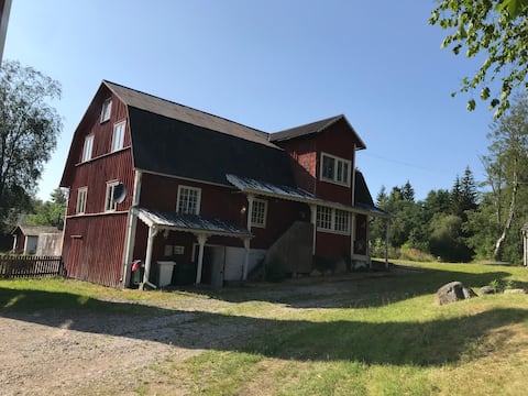Stay in larger groups in Kvarnen