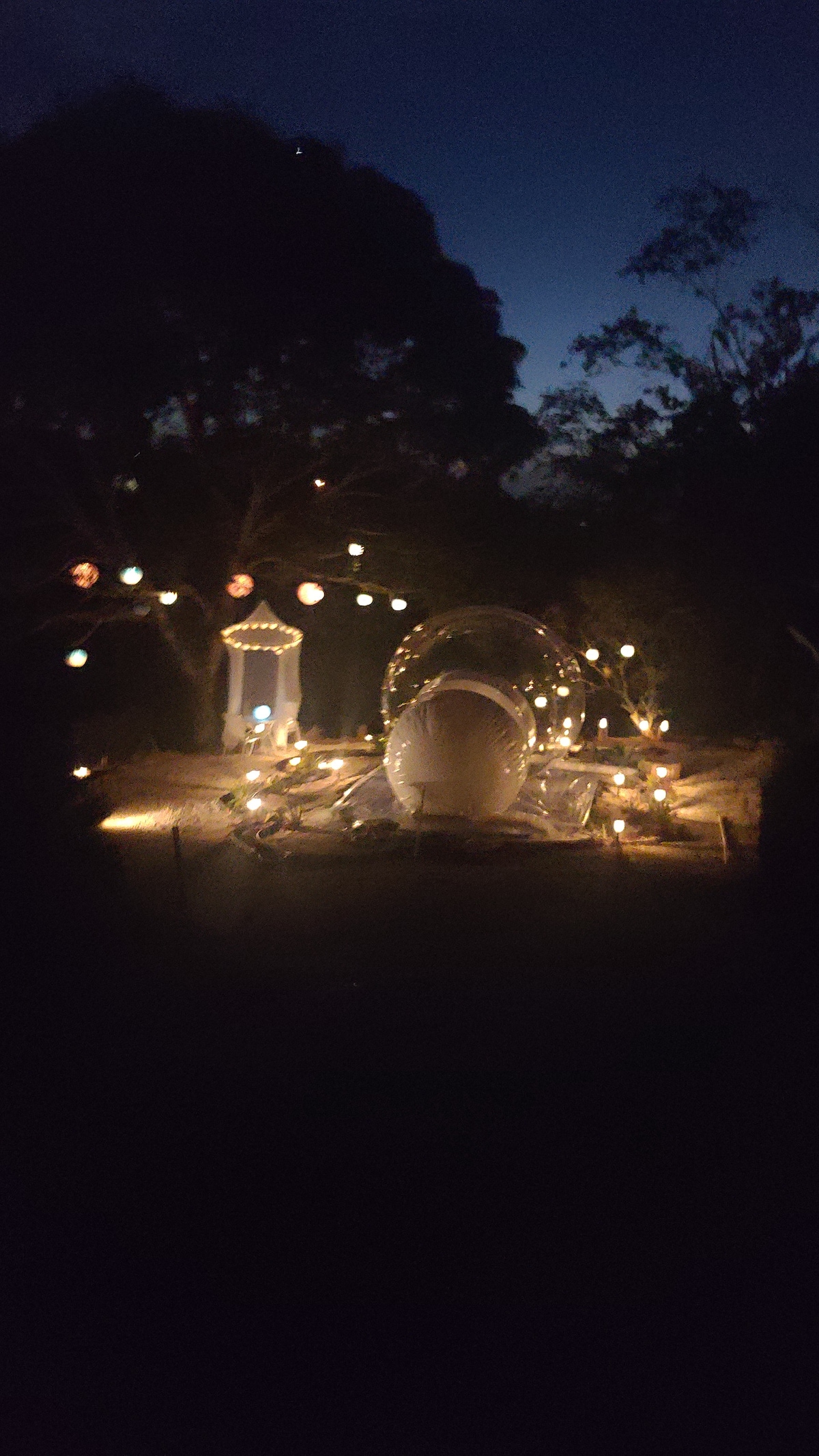 A clear bubble structure is softly illuminated by twinkling lights and lanterns, set within a natural landscape at dusk. Surrounding trees frame the scene, enhancing the serene atmosphere, while a pathway leads to the entrance of the bubble, inviting exploration.