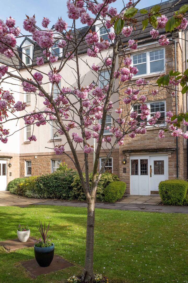 Luxury apartment with courtyard parking.