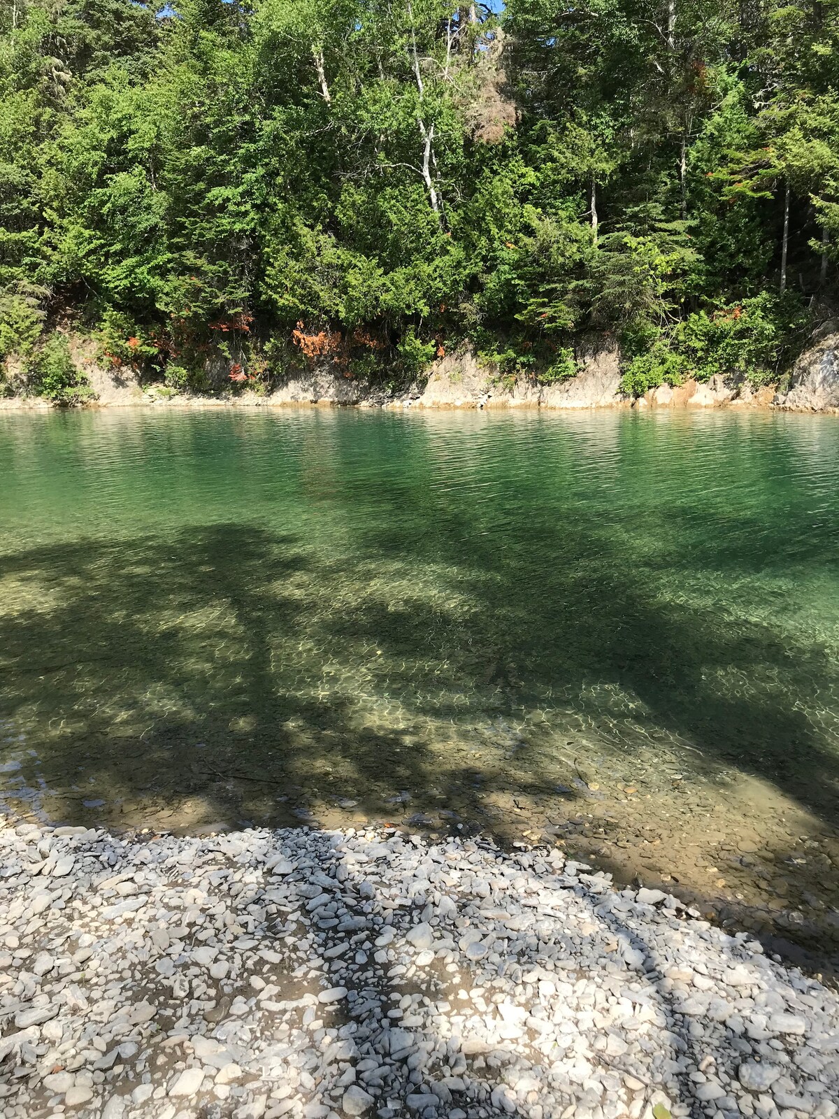 A clear waterway is visible, bordered by a rocky shore. The water reflects shades of green and blue, while lush trees are seen in the background, providing a natural setting. The sun casts soft shadows on the water's surface.