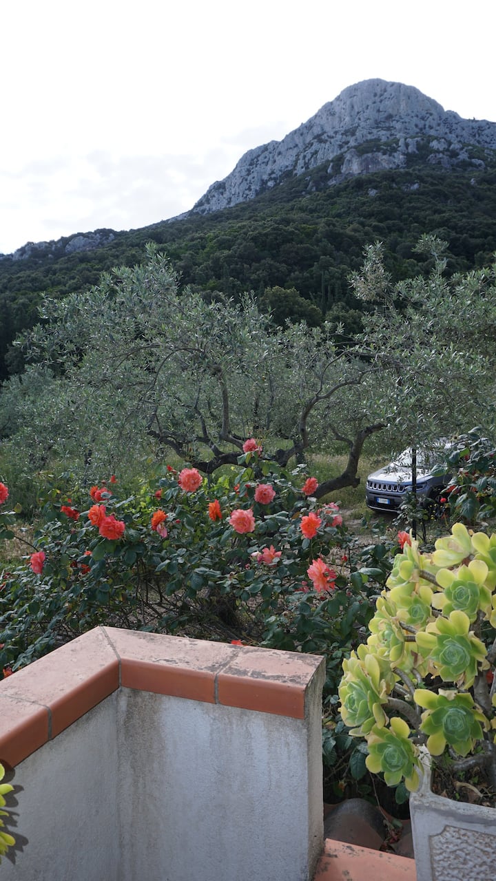 Casa Francesca Grande - Sardinia
