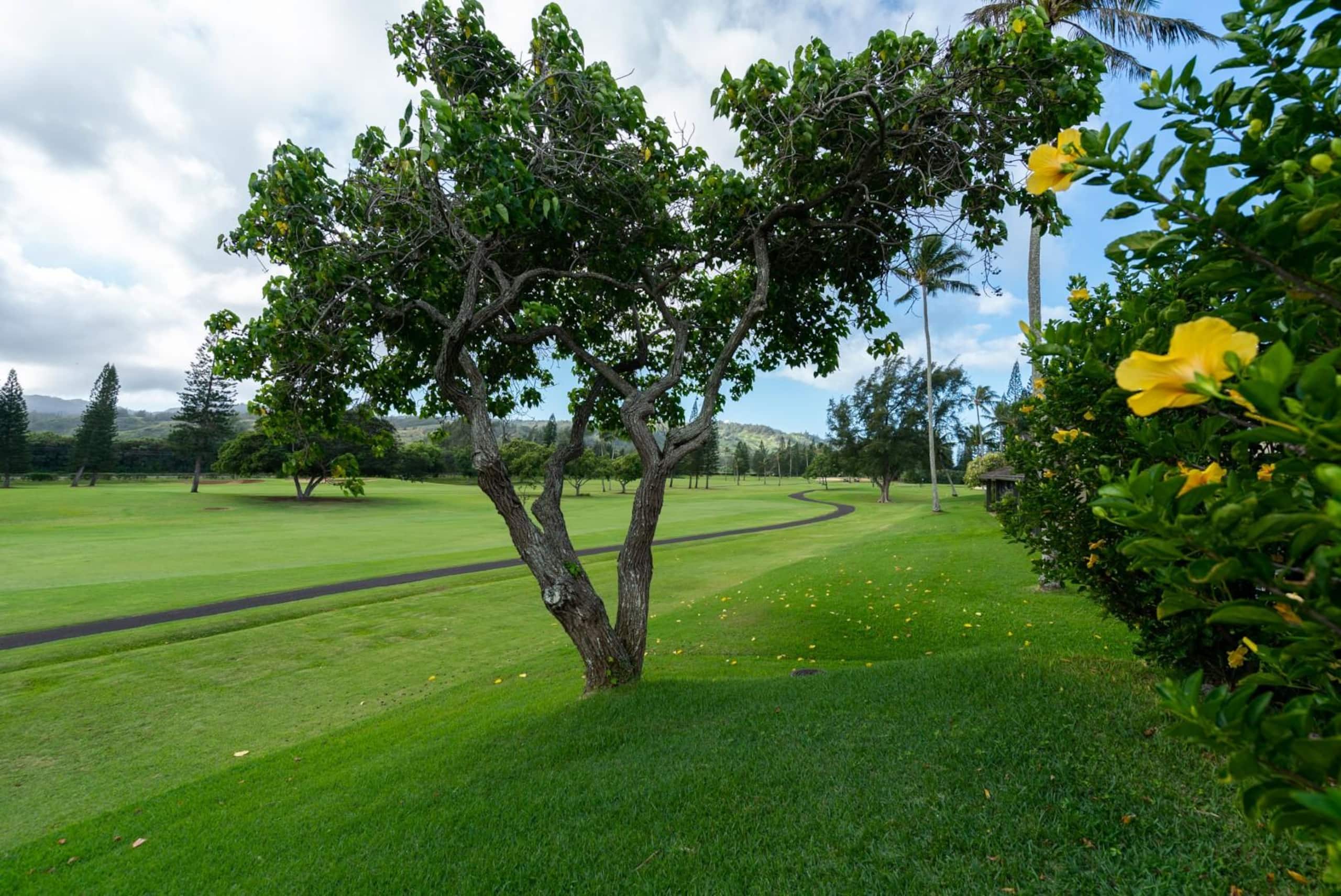 Condo in Kahuku · ★4.85 · 1 bedroom · 1 bed · 2 private baths - Image 21