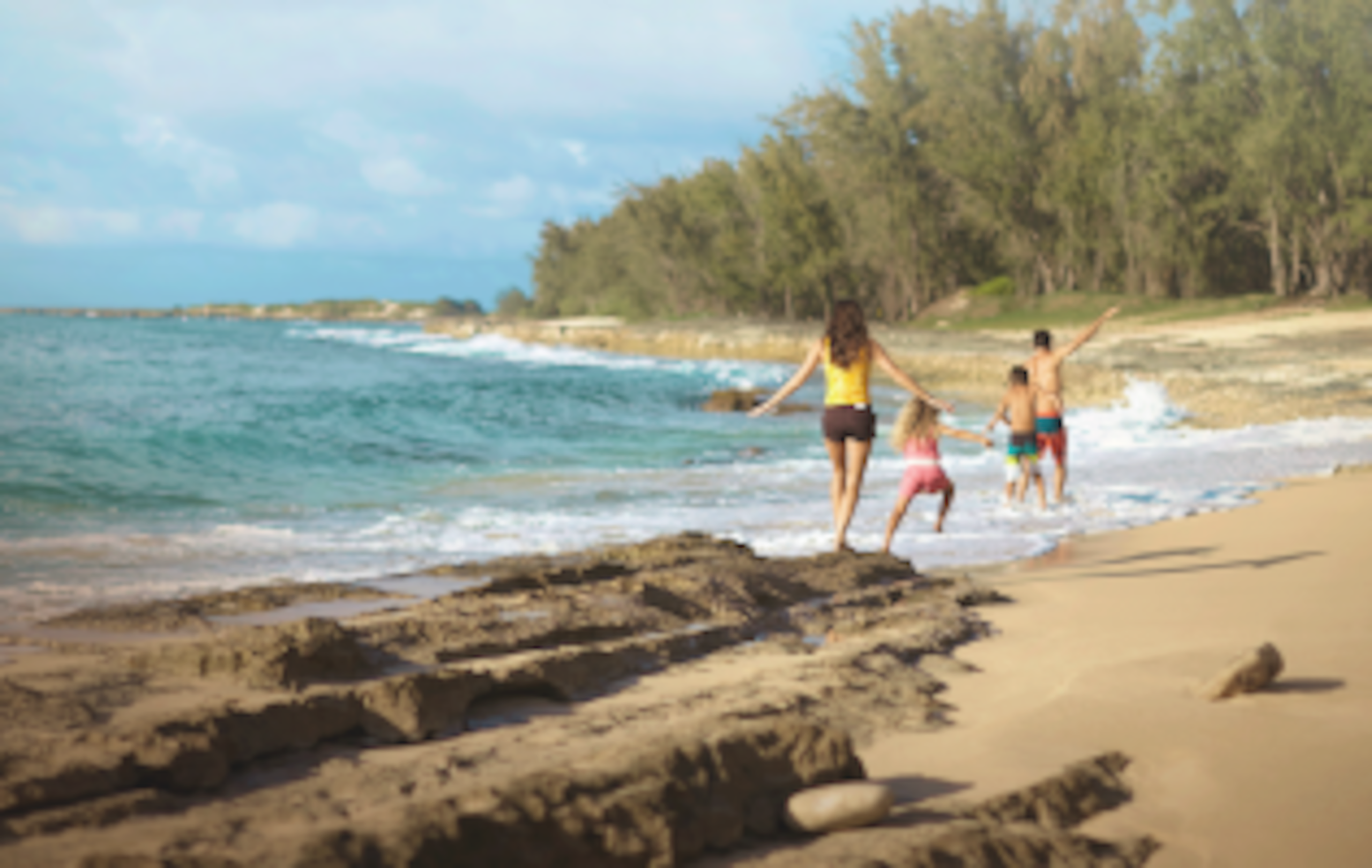 Condo in Kahuku · ★4.85 · 1 bedroom · 1 bed · 2 private baths - Image 60