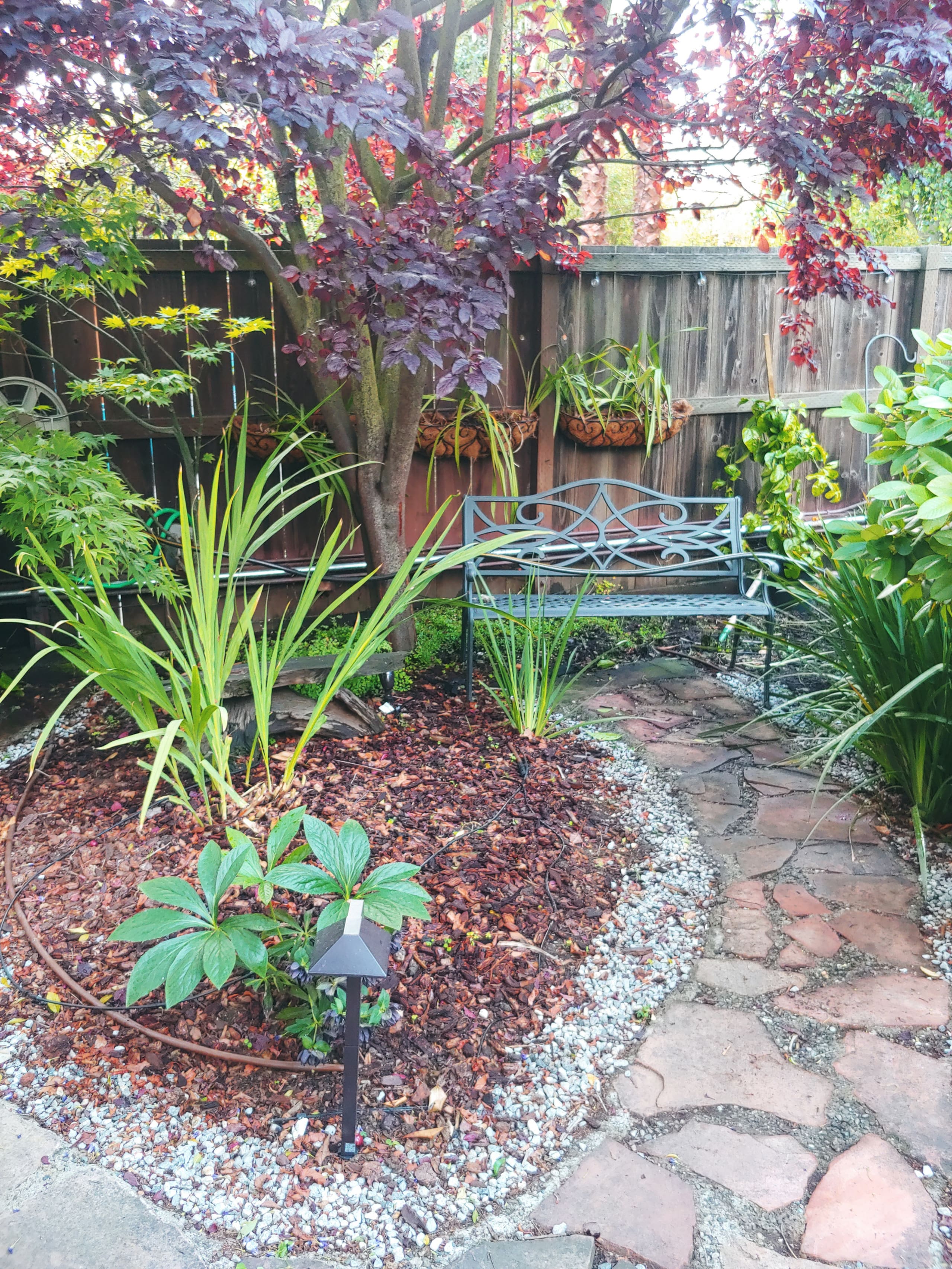 Condo in San Francisco · ★5.0 · 2 bedrooms · 2 beds · 2 baths - Image 21
