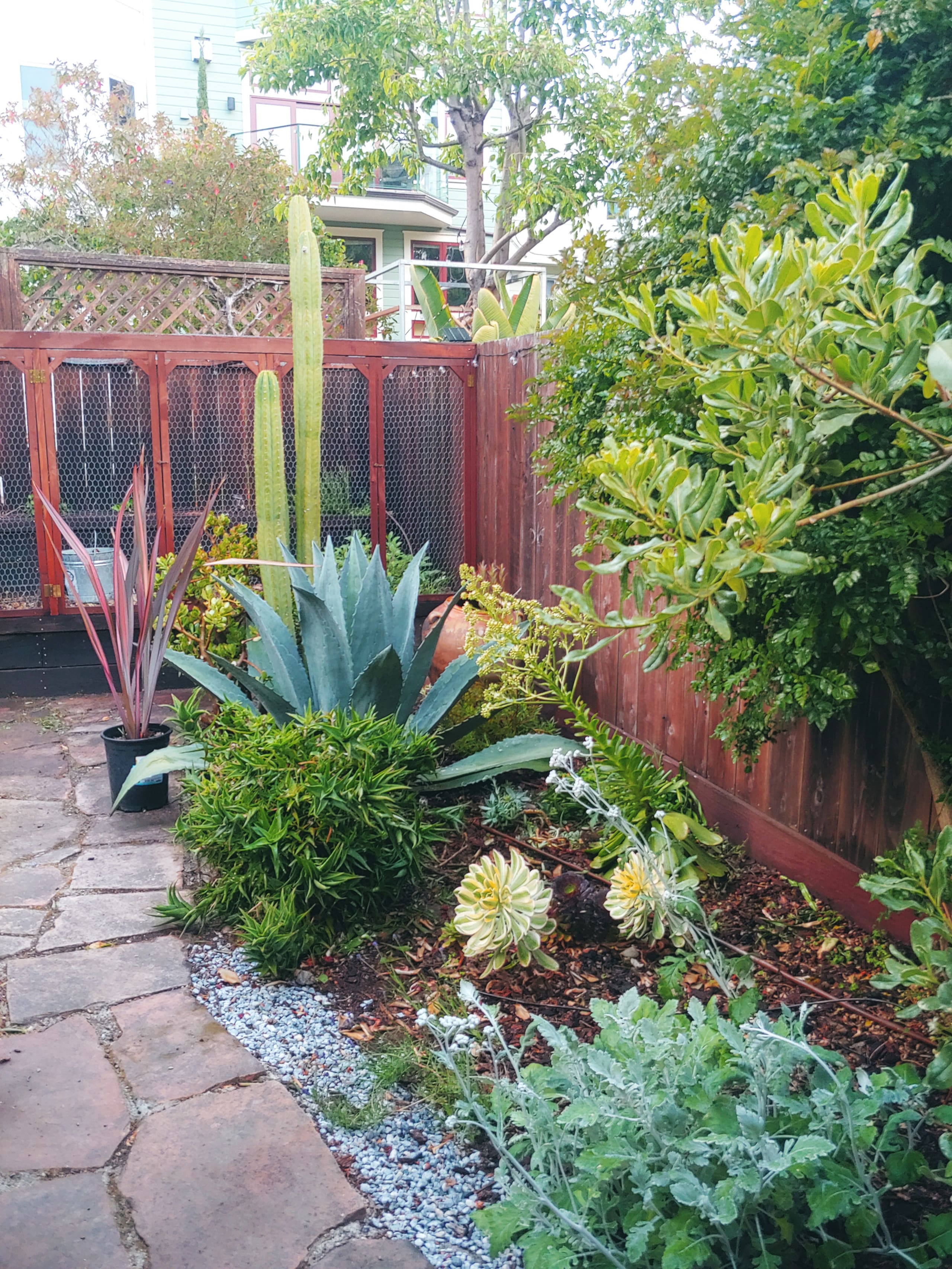 Condo in San Francisco · ★5.0 · 2 bedrooms · 2 beds · 2 baths - Image 22