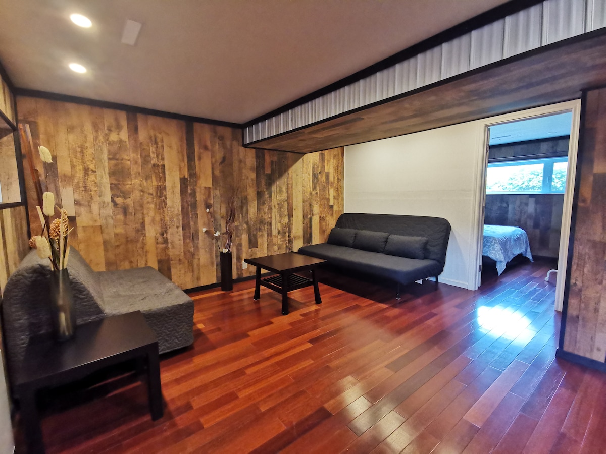 Podrumski salon s 2 kauča na razvlačenje