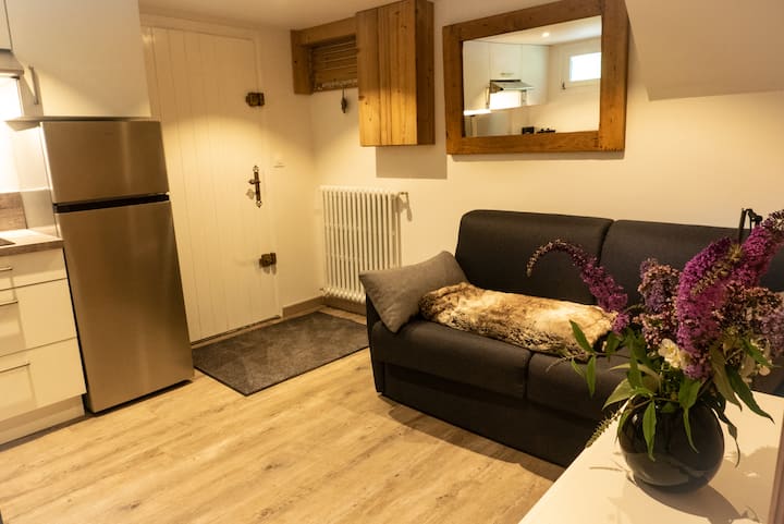 1 Bed Ground Floor Apartment, Terrace & Parking - Saint-Jean-d'Aulps