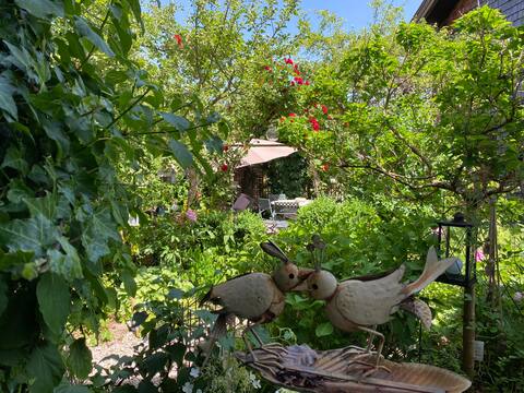 Apartment Chiemsee. Balcony, garden, pool, animals