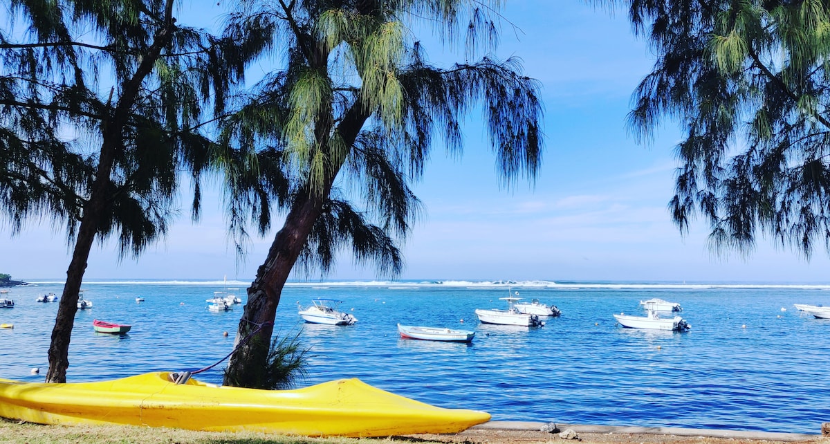 A serene coastal scene features a vibrant yellow kayak on a sandy shoreline, under the shade of tall trees. Clear blue waters are dotted with small boats, while gentle waves create an inviting atmosphere against a backdrop of distant white-capped surf.