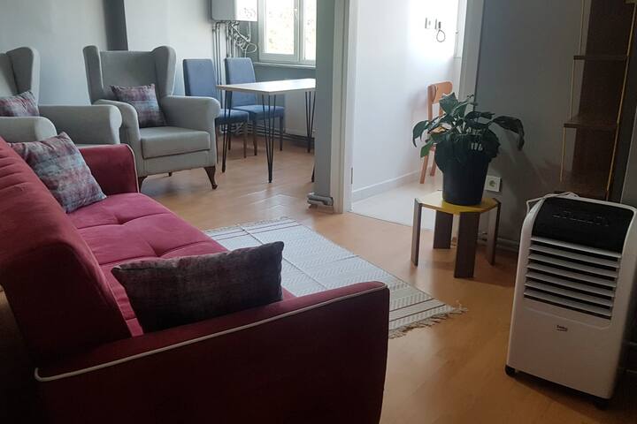 Müge and Nebi Istanbul Apartment 2 gallery image 2