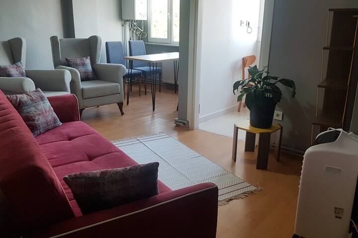 Müge and Nebi Istanbul Apartment 2 gallery image 3