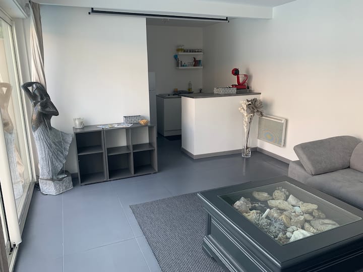Studio Avec Piscine Et Jacuzzi Chauffés Privatisés - Nans-les-Pins