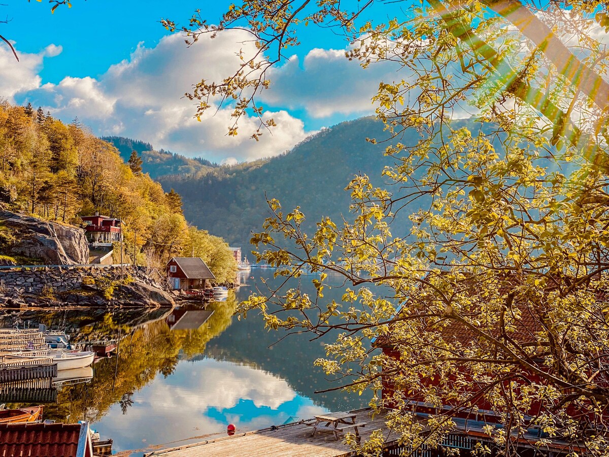 The image captures a serene view of a fjord surrounded by rolling hills, with reflections of the landscape seen in the calm water. Several wooden houses along the shore are framed by budding trees and a clear blue sky, creating a peaceful natural setting.