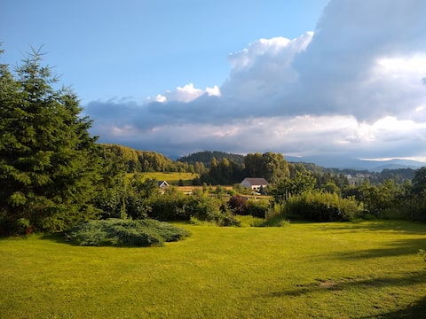 Top performing Airbnb: A cottage under a blueberry in the heart of the Karkonosze Mountains in Gmina Podgórzyn
