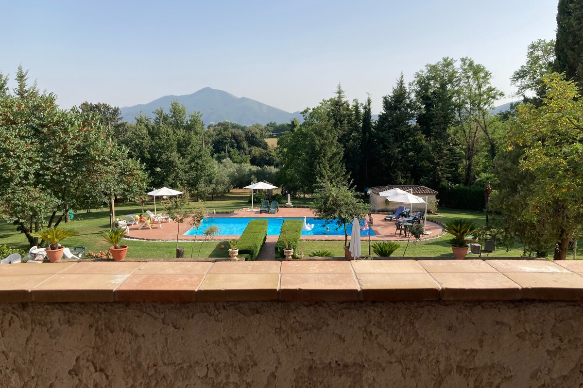 The outdoor area features a spacious garden with two swimming pools, surrounded by lush greenery. Umbrellas provide shade over lounge chairs, while various potted plants enhance the tranquil setting. Scenic hills are visible in the background, creating a serene atmosphere for relaxation.