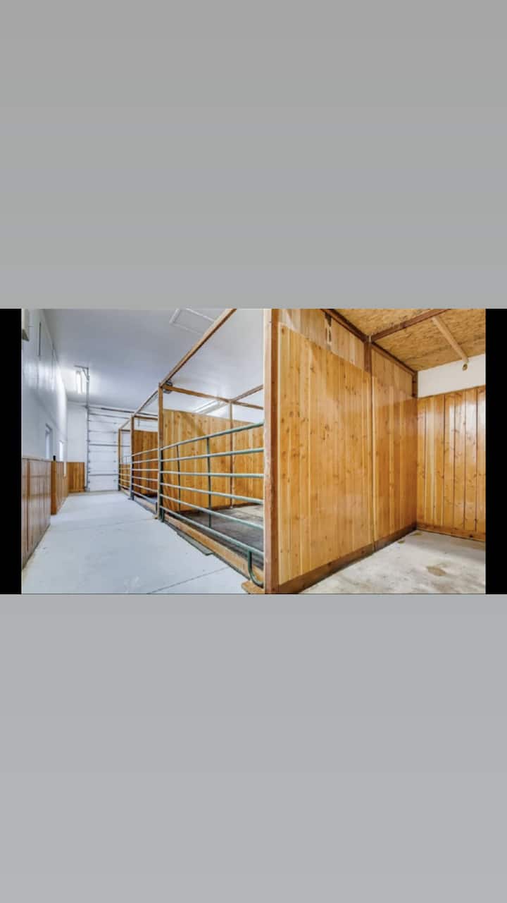 مستقر للخيول يتسع لـ 6  خيول 