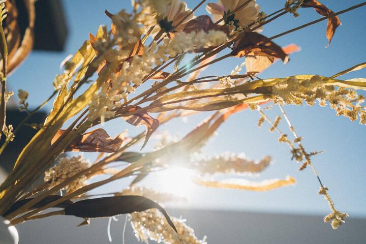 Beautiful house with swimming-pool! gallery image 5