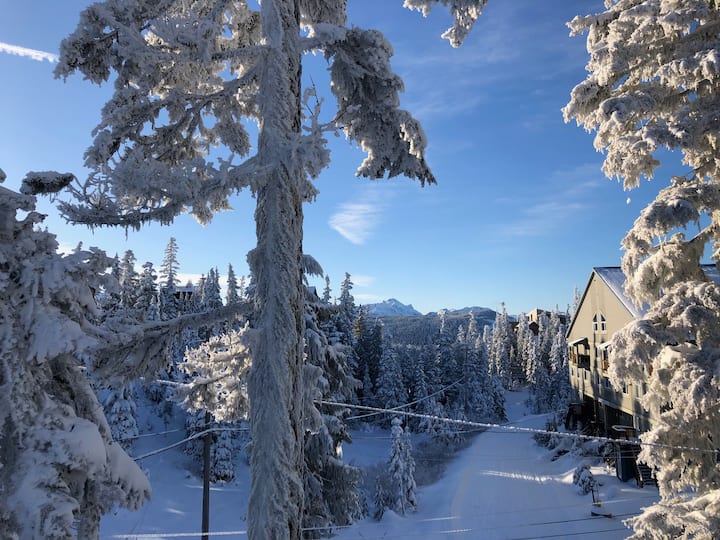 Winterfell  Townhouse - Mount Washington