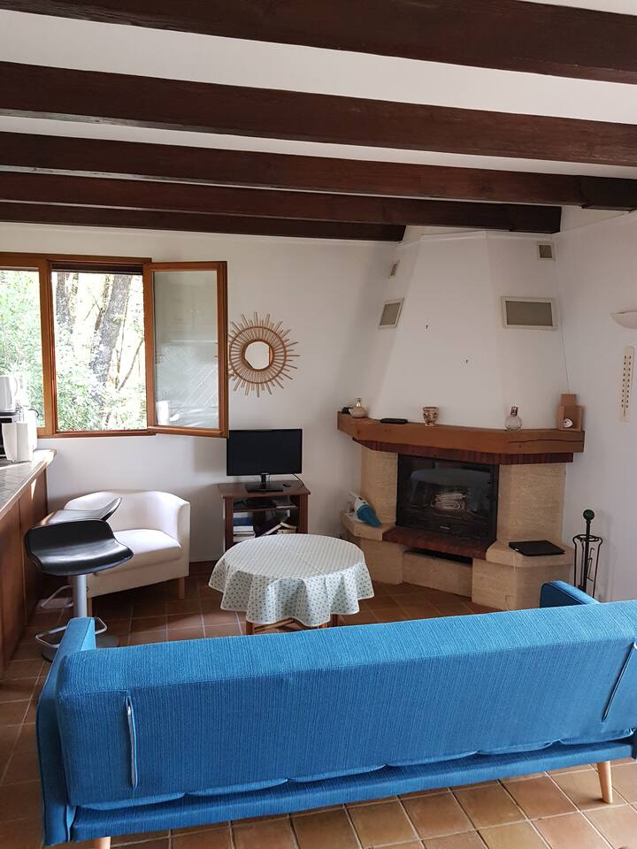 sebule  iliyo na TV na meko inayofanya kazi