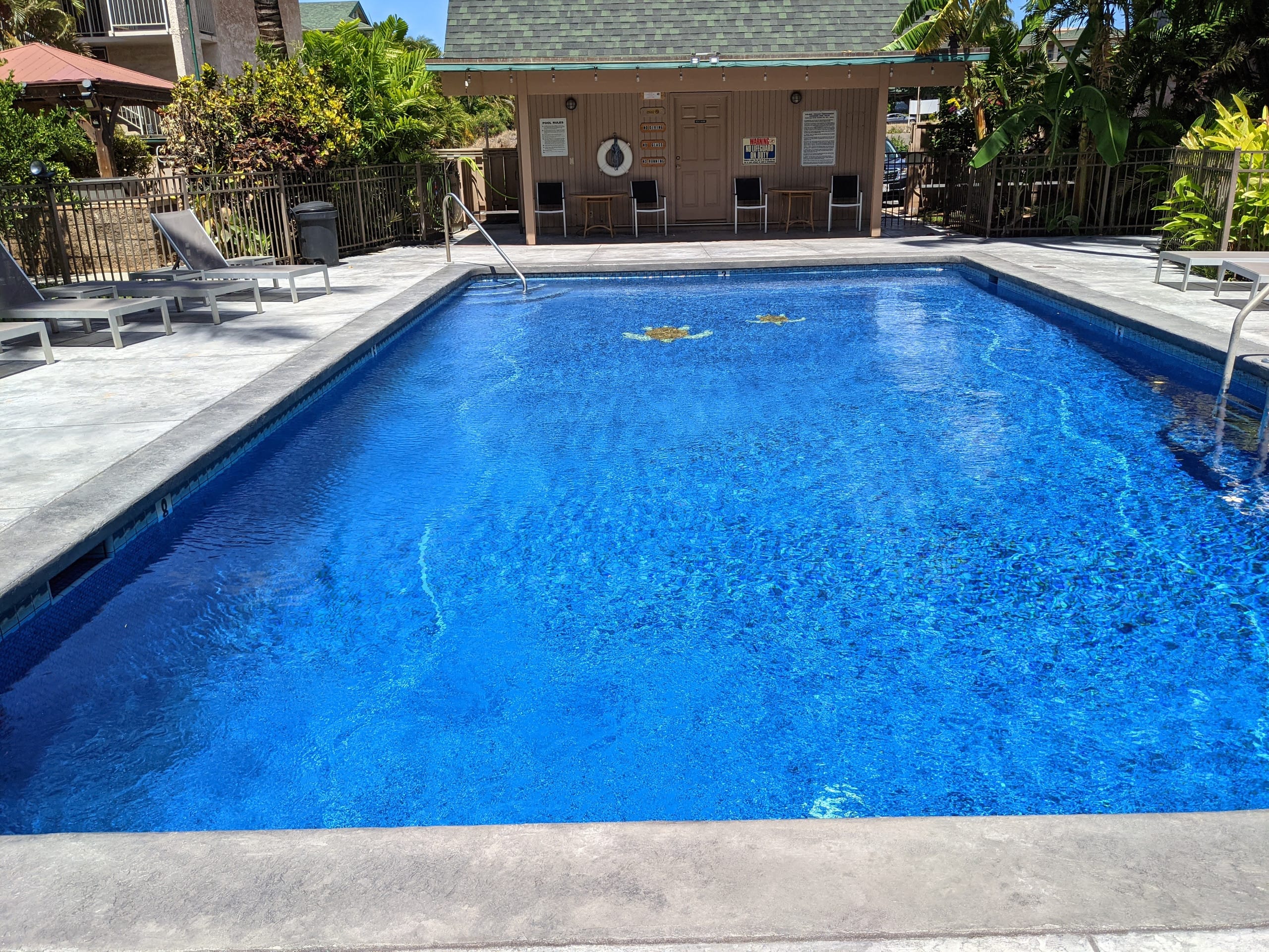 Condo in Kihei · ★4.8 · 2 bedrooms · 2 beds · 1 private bath - Image 20