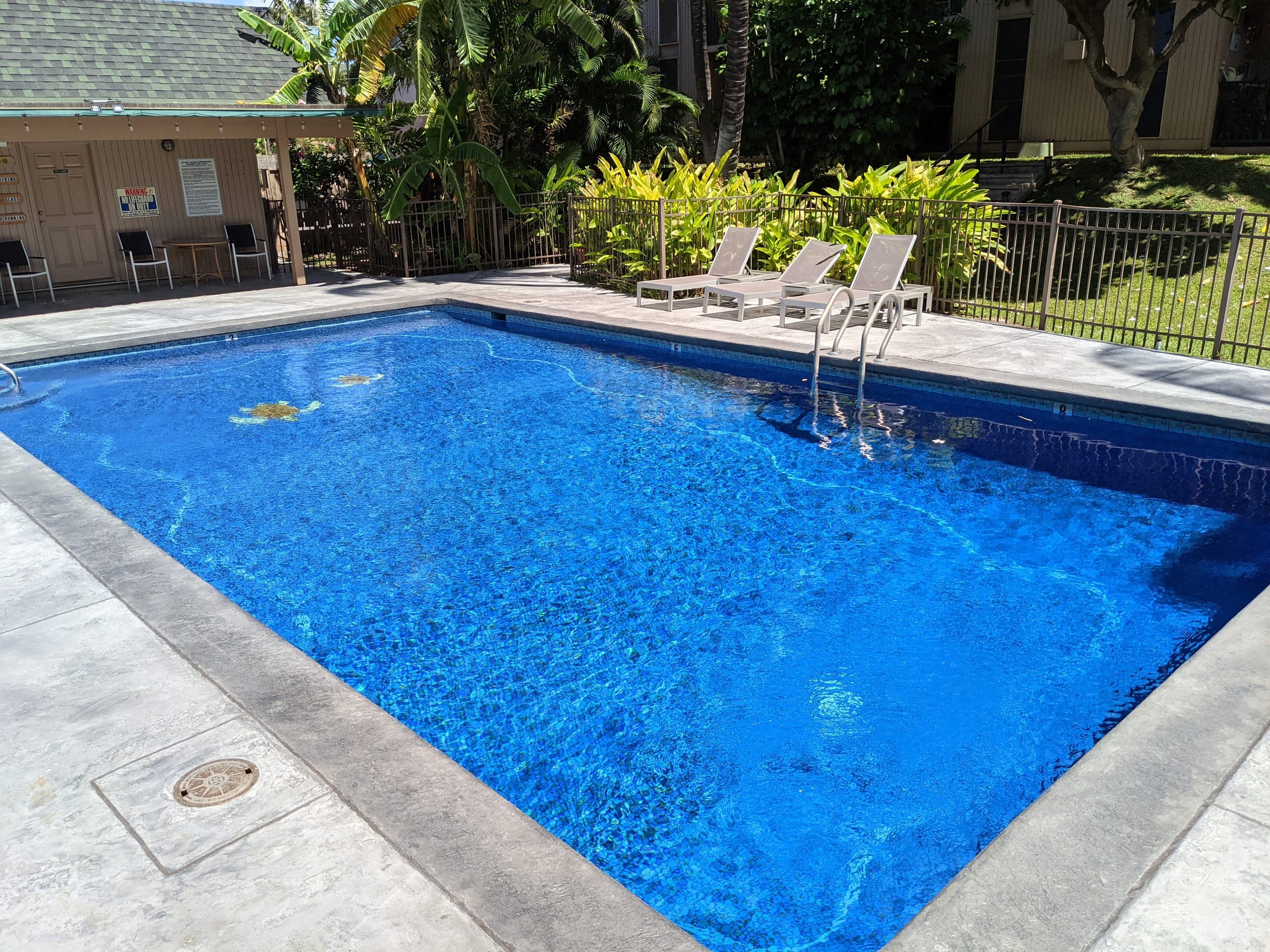 Condo in Kihei · ★4.8 · 2 bedrooms · 2 beds · 1 private bath - Image 19