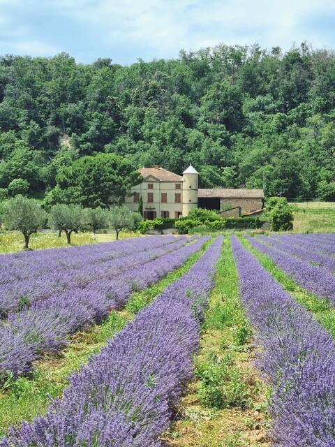 Domaine des Balmes:90sqm in the castle outbuilding